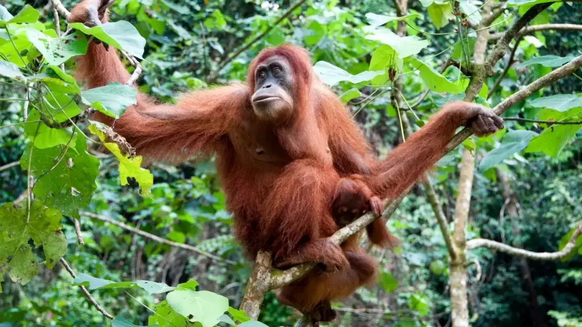 Zdjęcie dodatku podróży