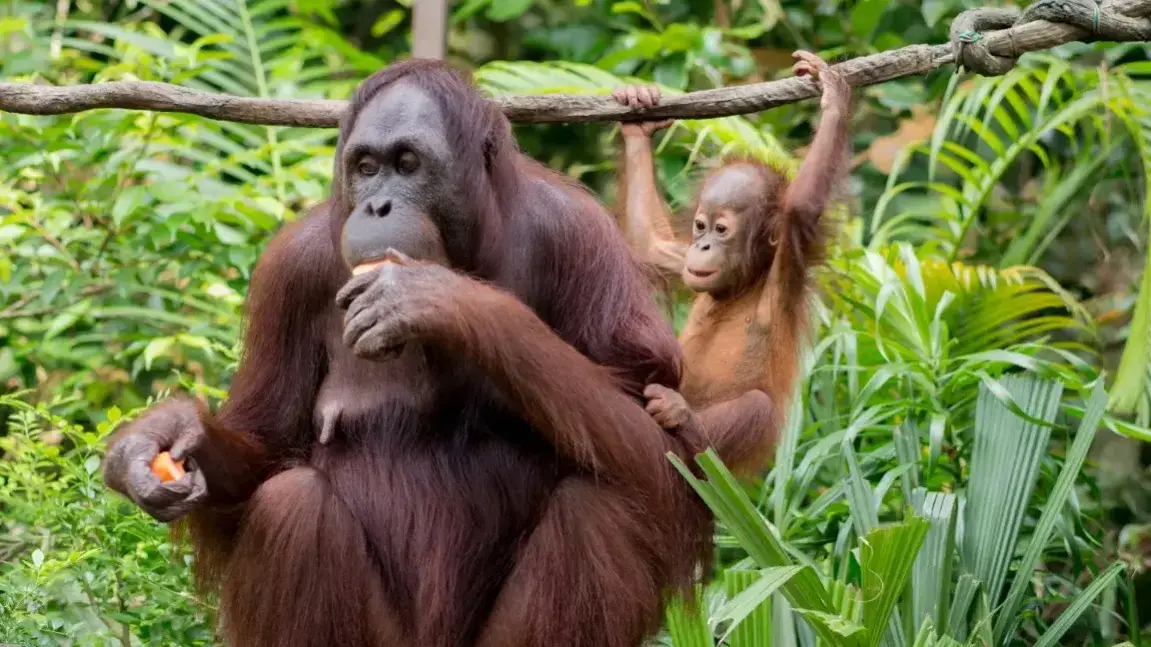 Zdjęcie z programu wyjazdu