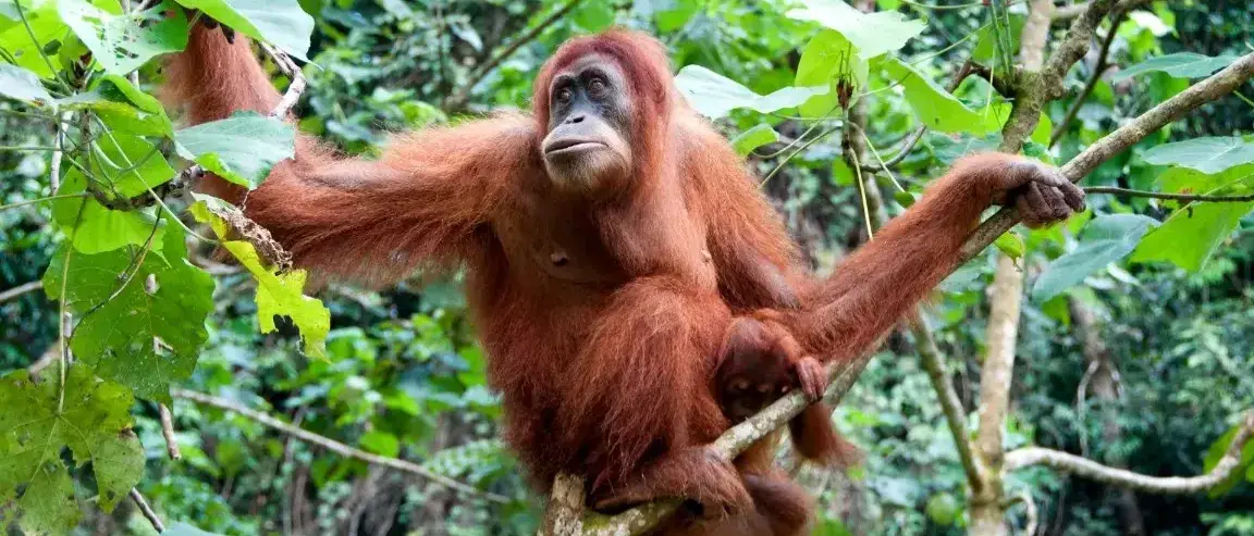 Zdjęcie z programu wyjazdu