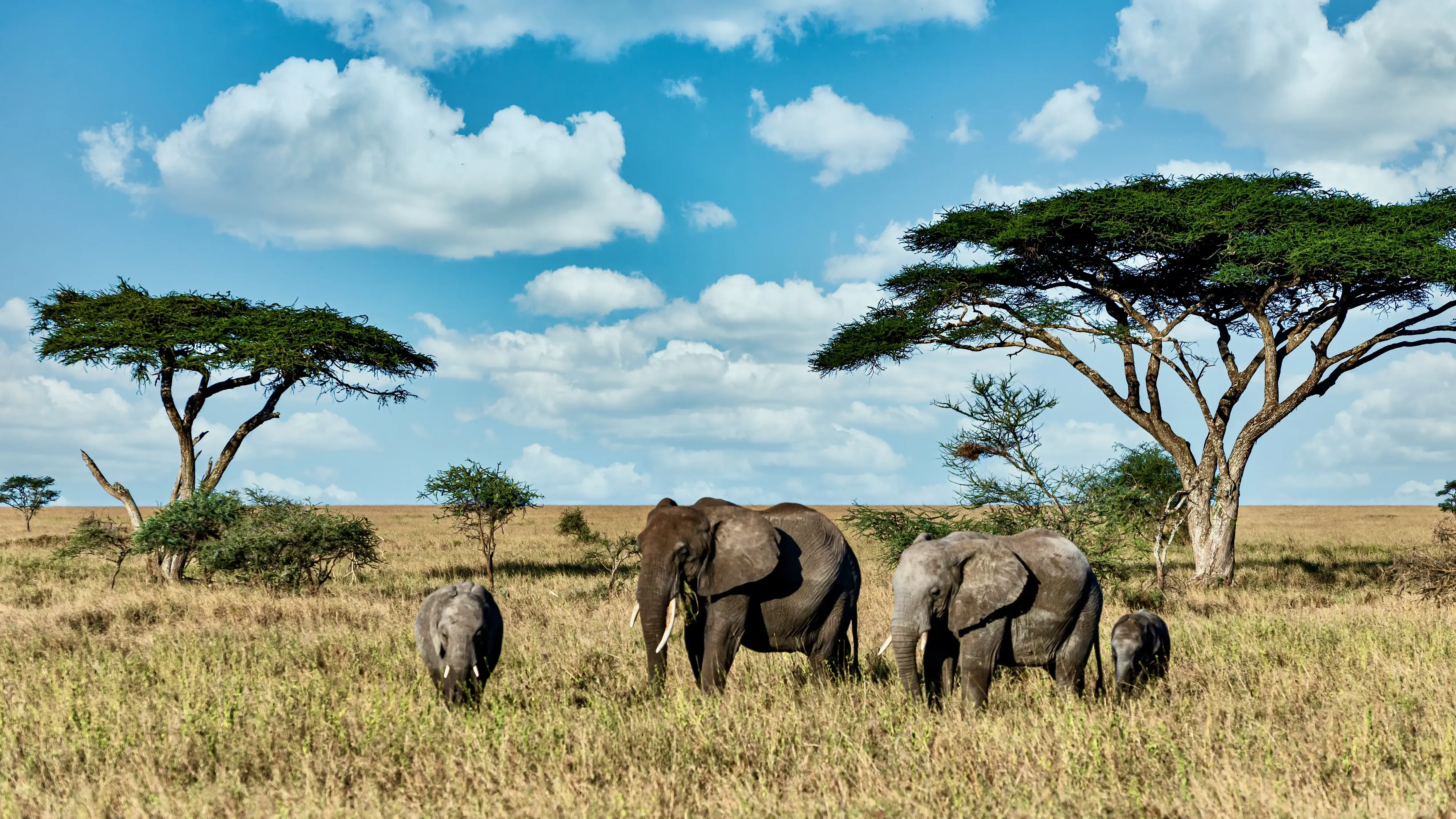 Zdjęcie z programu wyjazdu