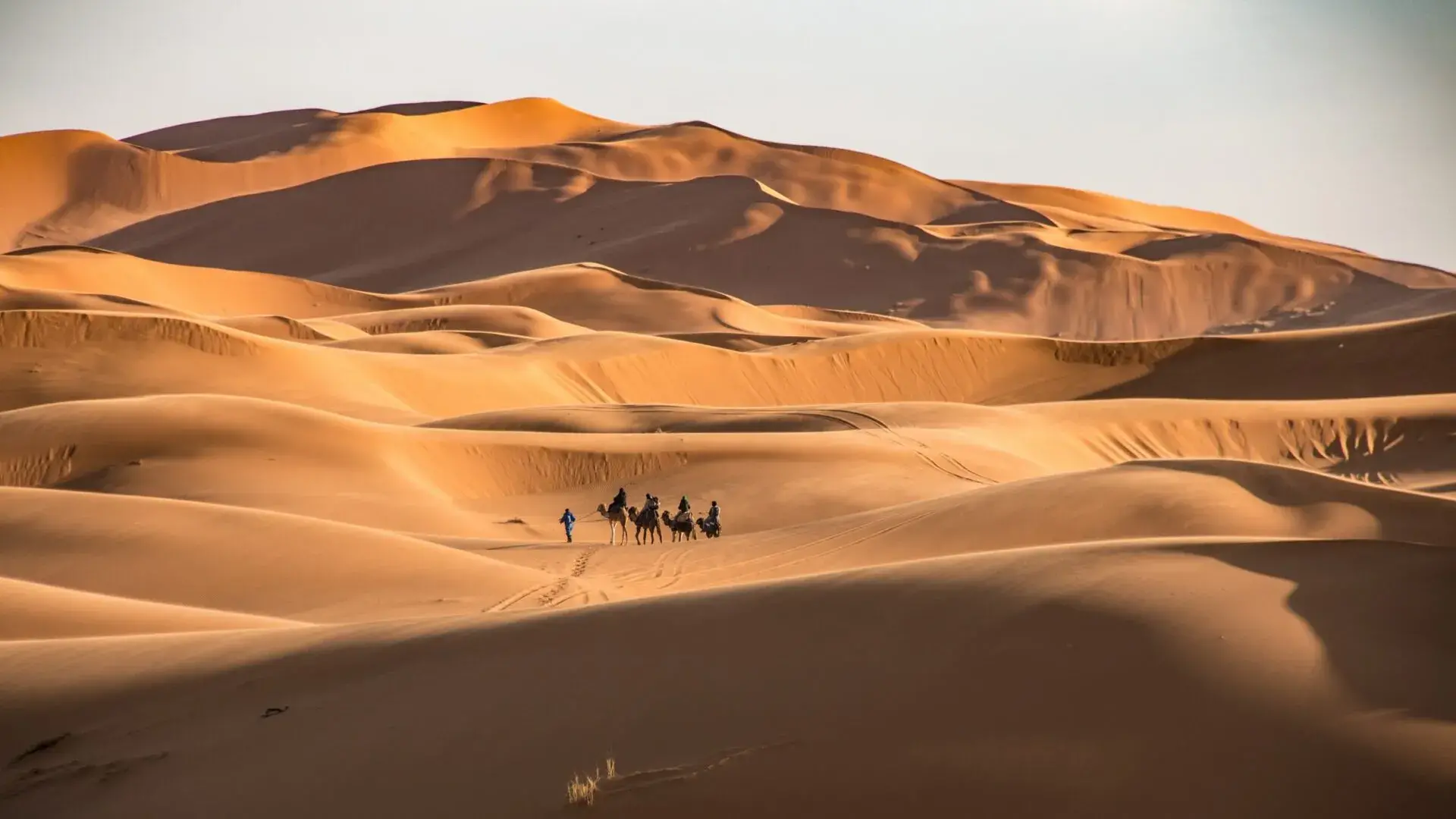 Zdjęcie z programu wyjazdu