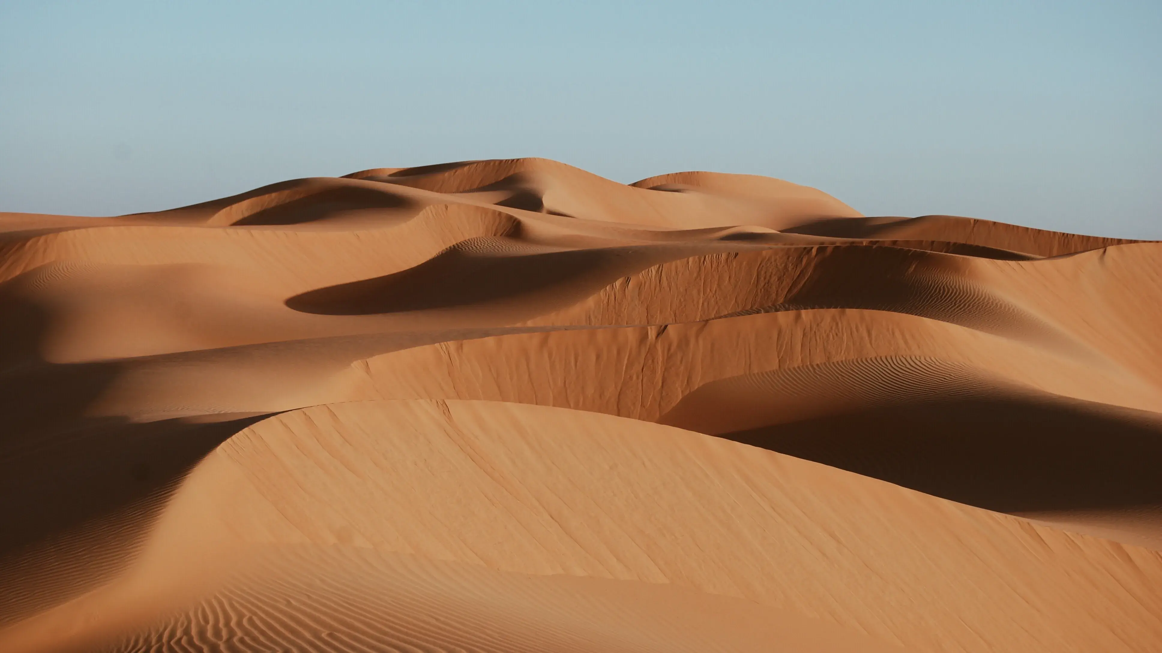 Zdjęcie z programu wyjazdu