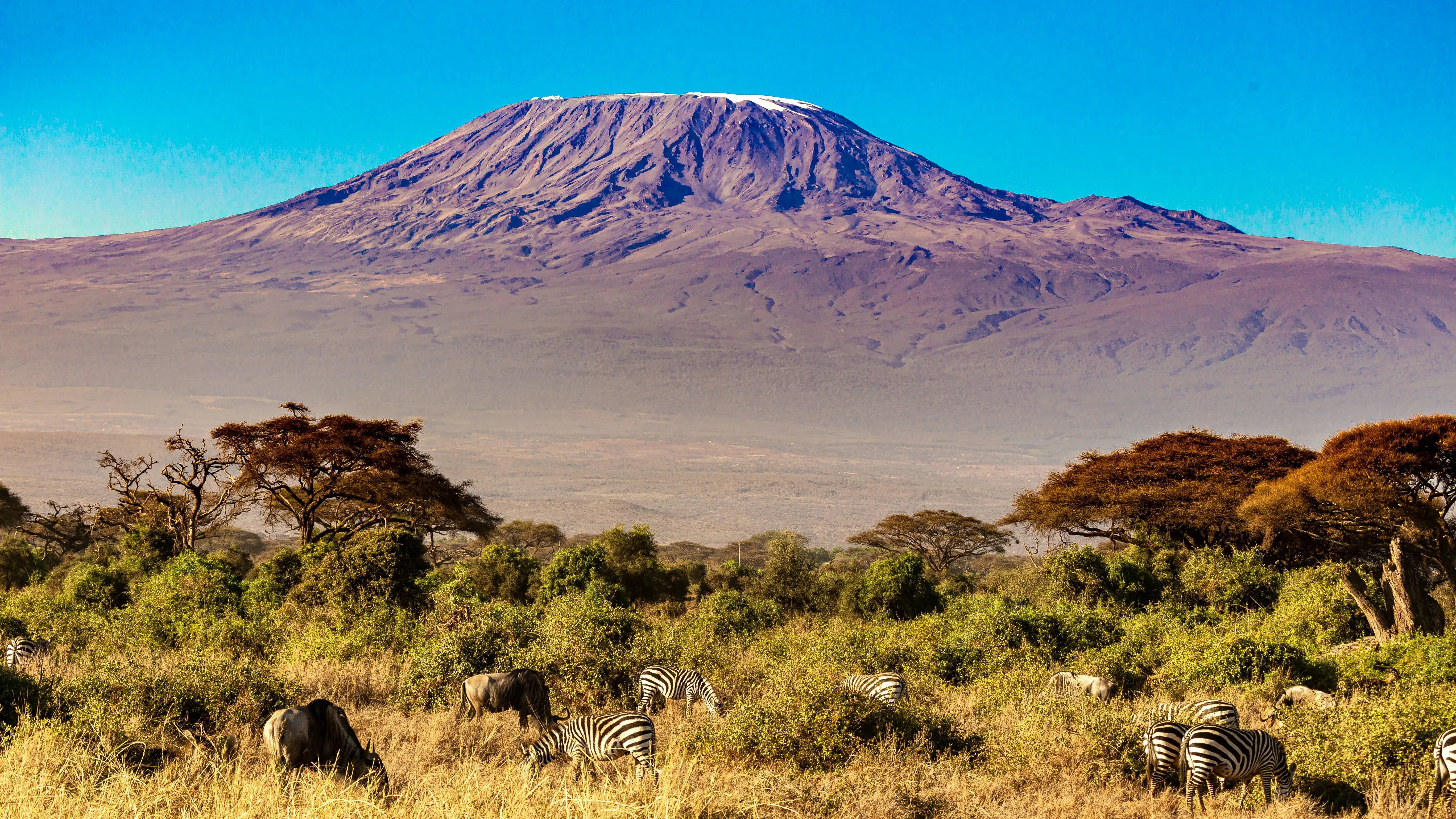 Zdjęcie z programu wyjazdu