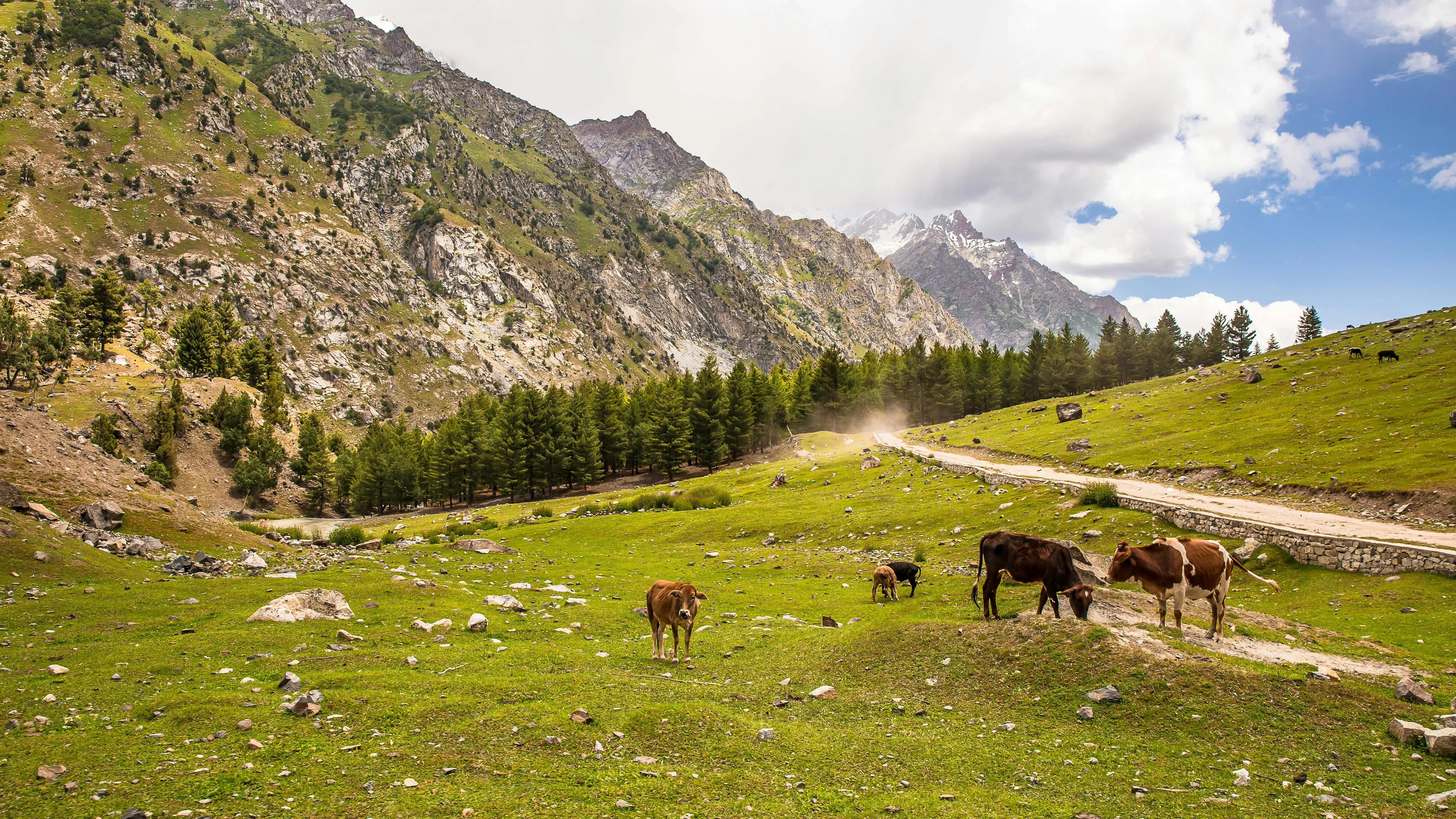 Zdjęcie z programu wyjazdu
