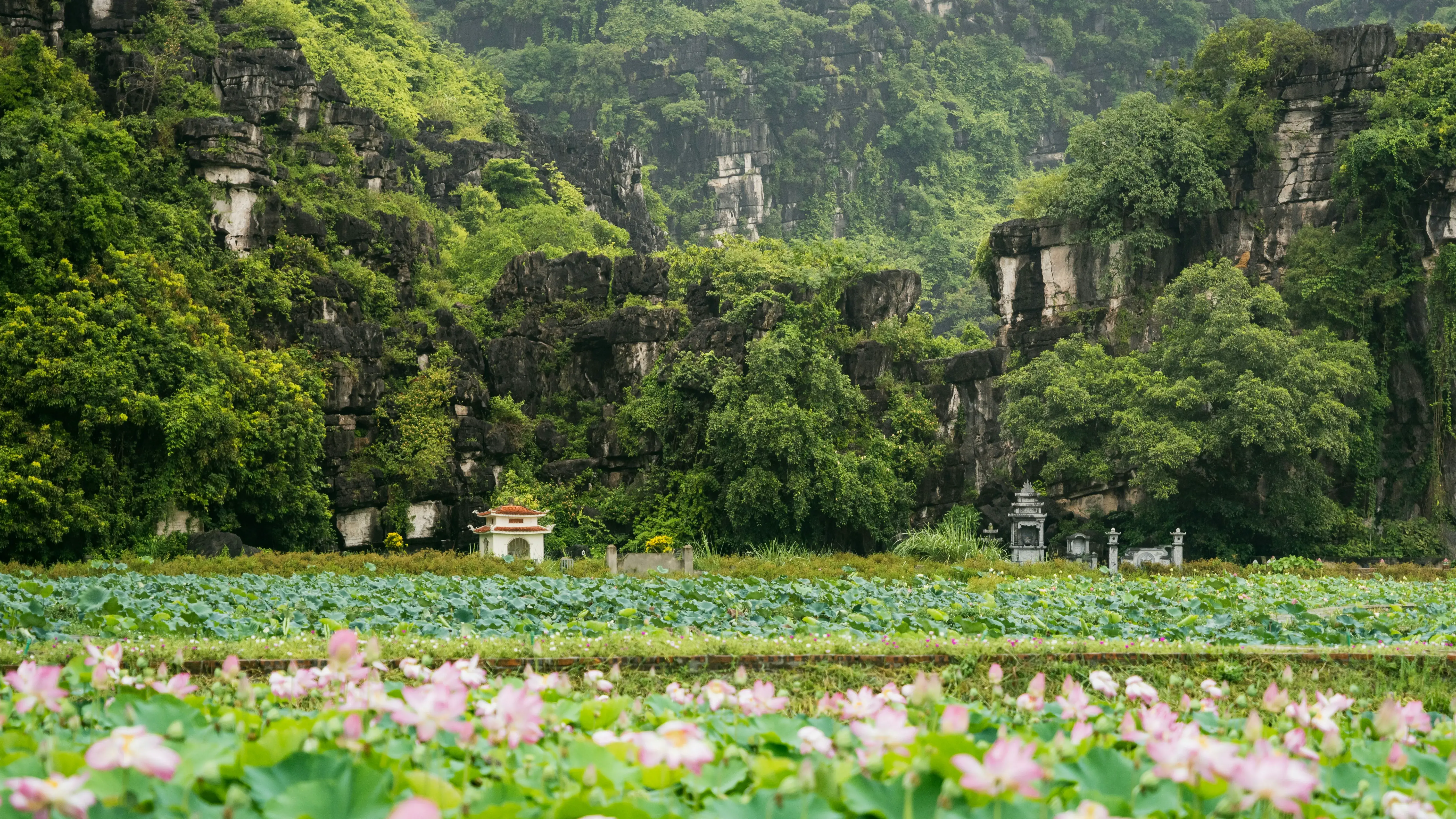 Zdjęcie z programu wyjazdu