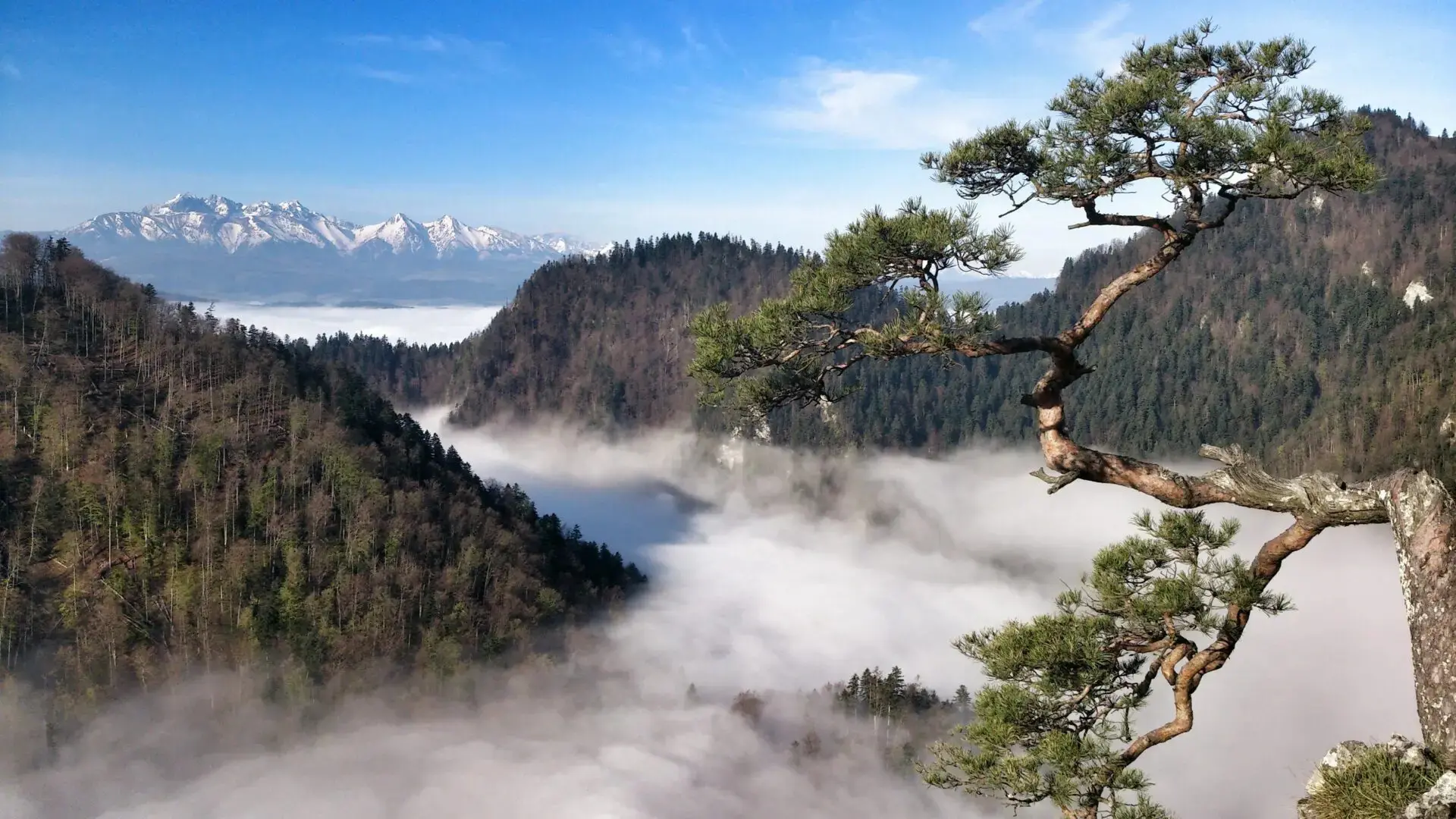 Zdjęcie z programu wyjazdu