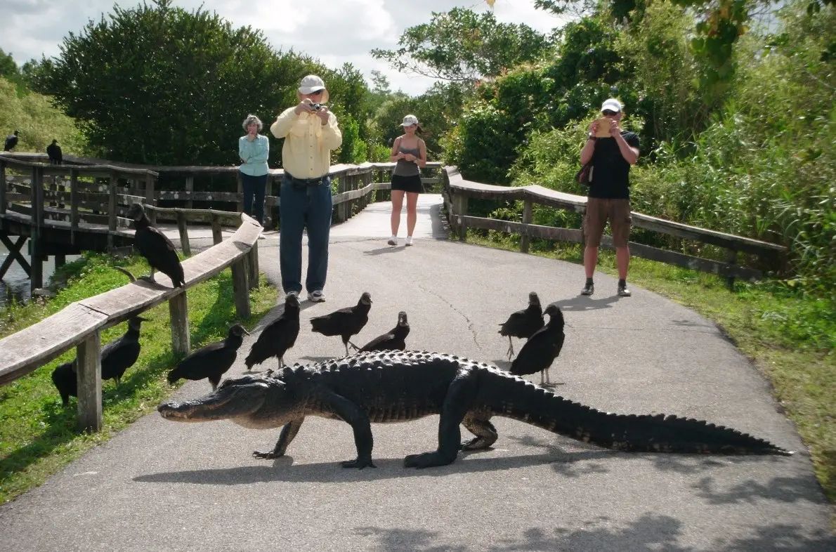 Zdjęcie z programu wyjazdu