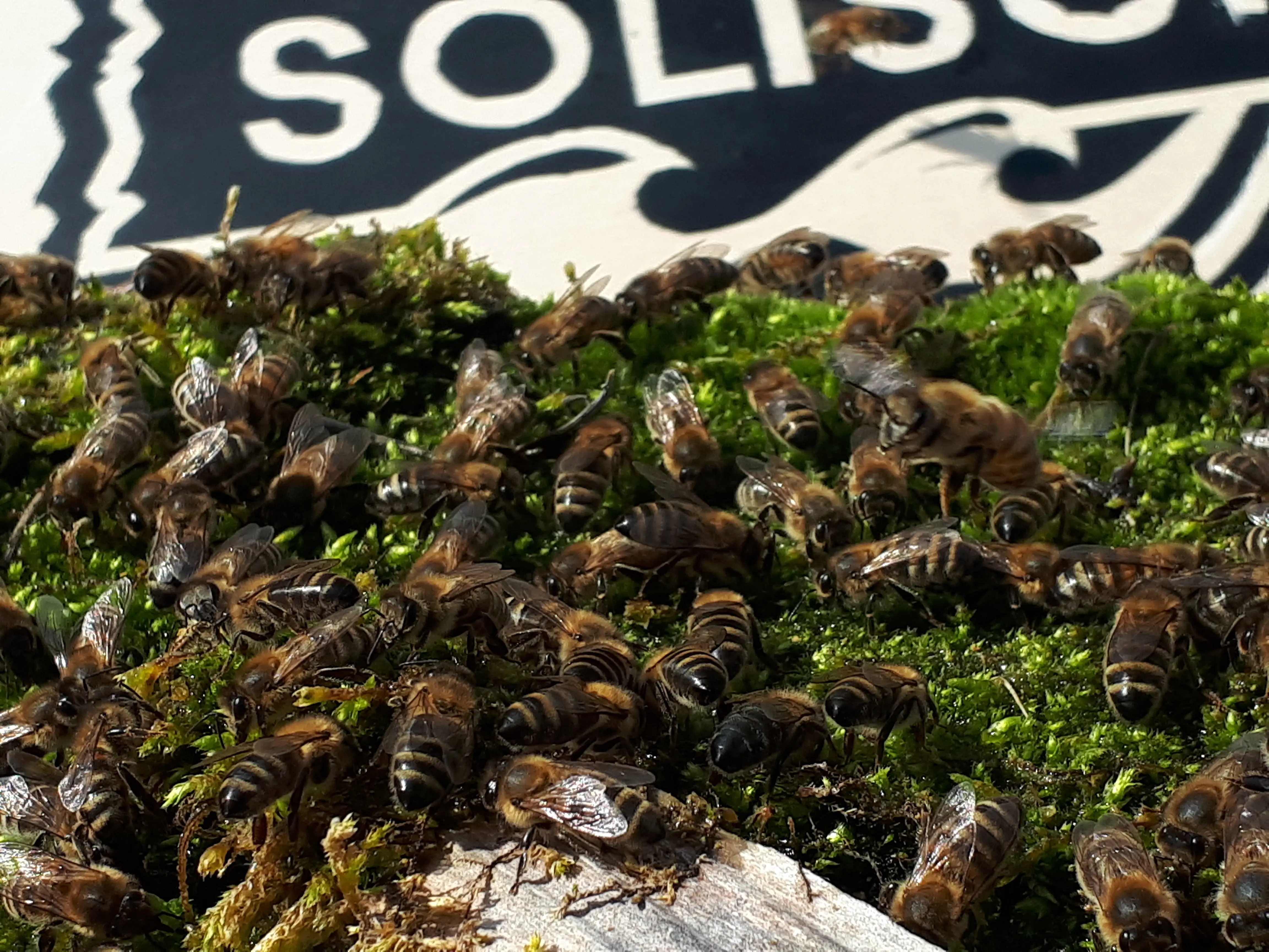 Zdjęcie z programu wyjazdu