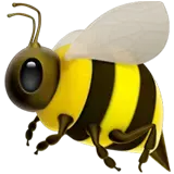 Zdjęcie sekcji nasze wartości