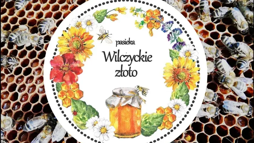 Zdjęcie z galerii