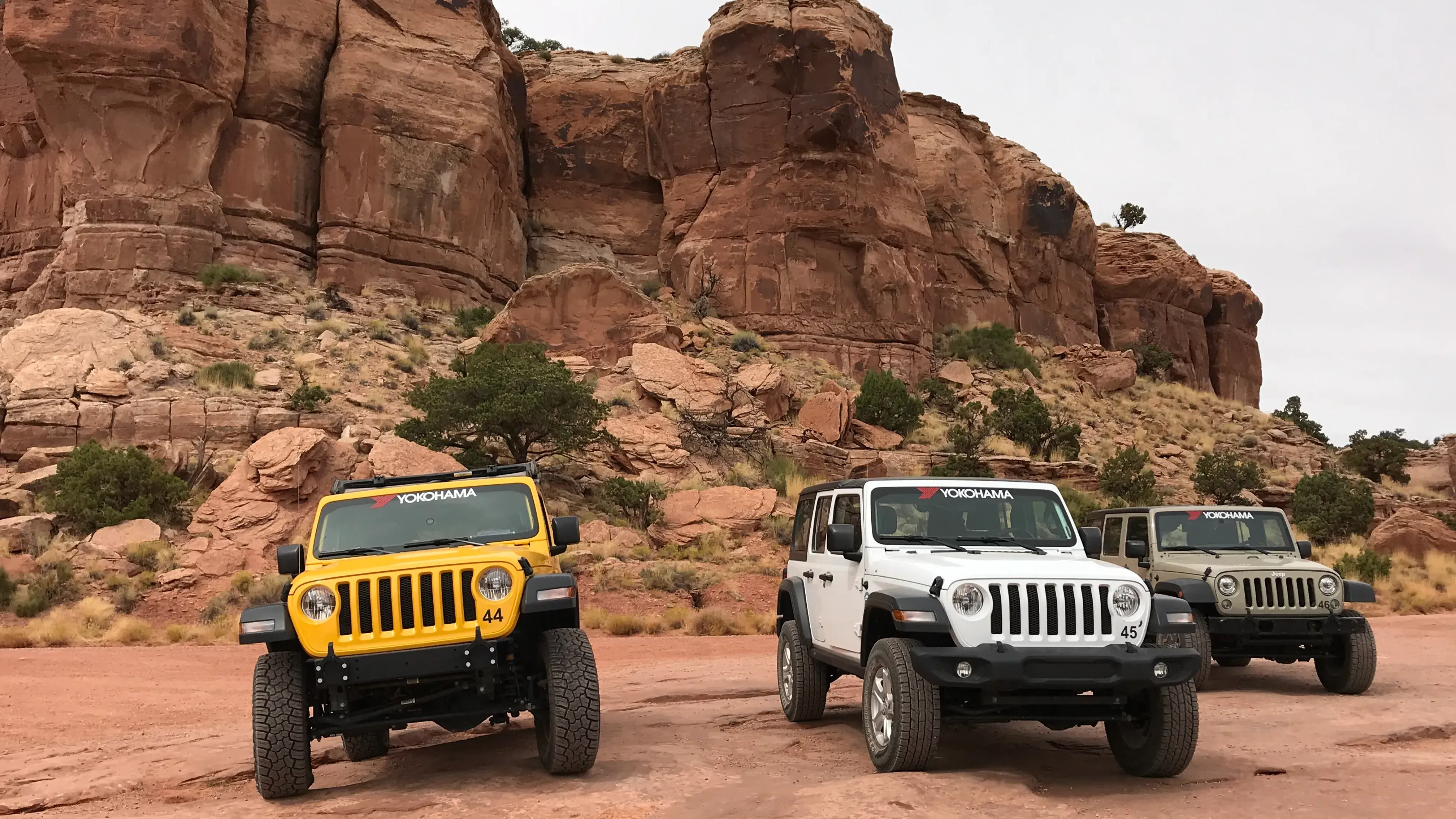 Zdjęcie z programu wyjazdu