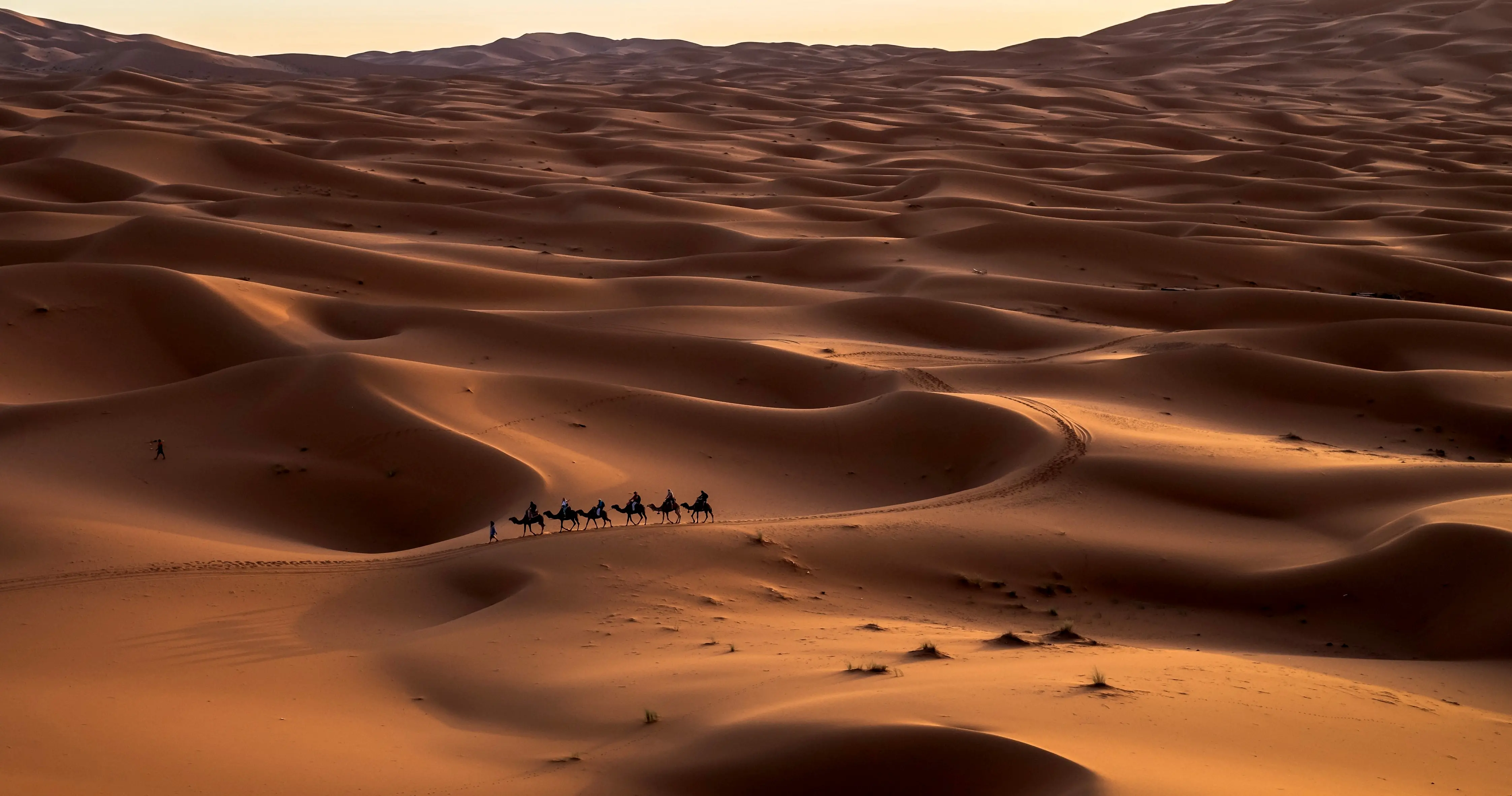 Zdjęcie z programu wyjazdu