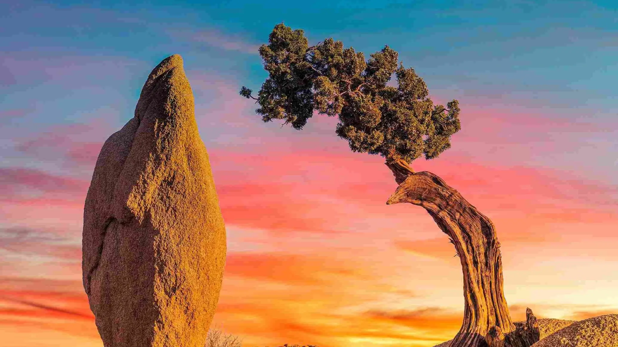 Zdjęcie dodatku podróży