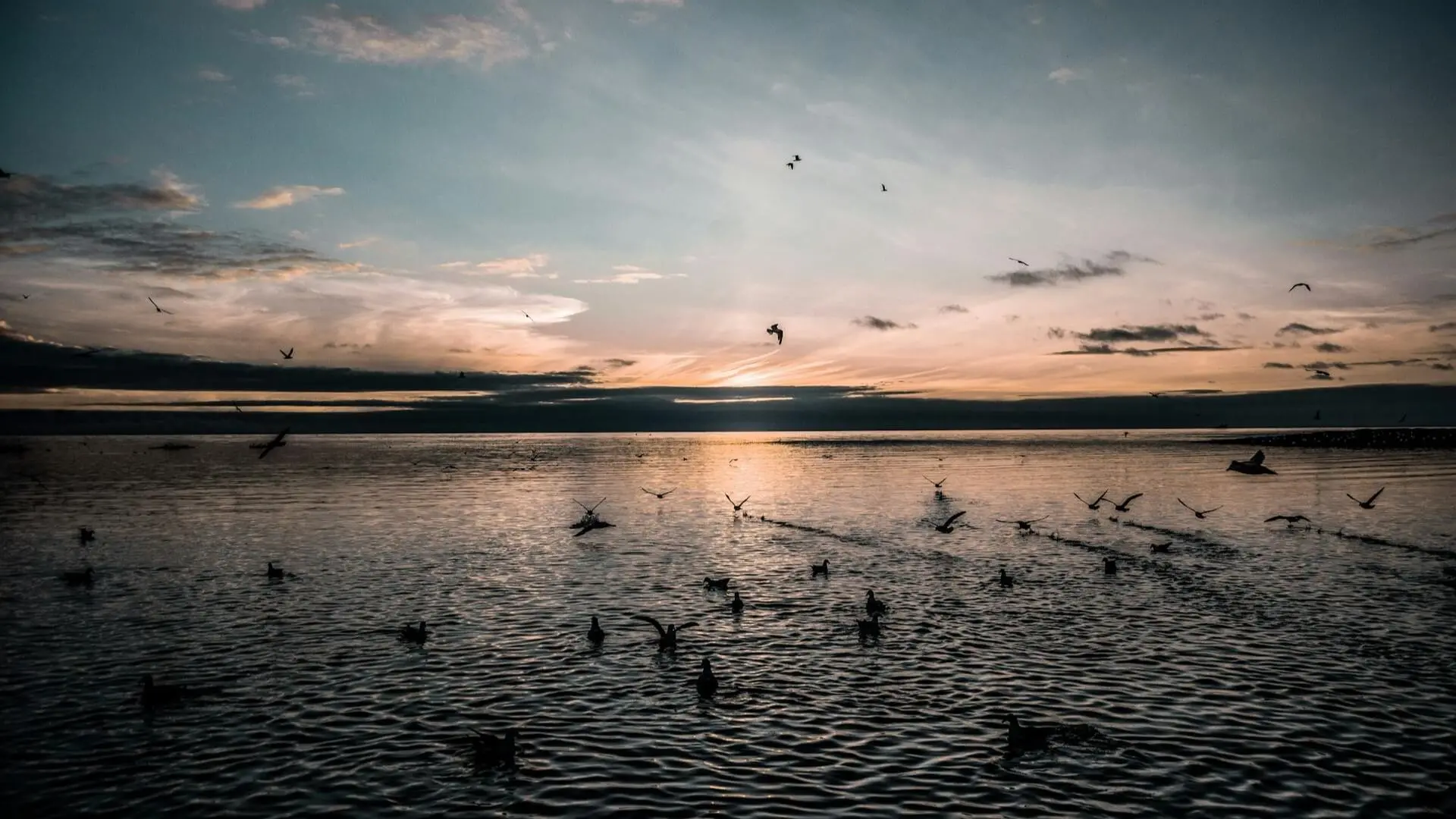 Zdjęcie z programu wyjazdu