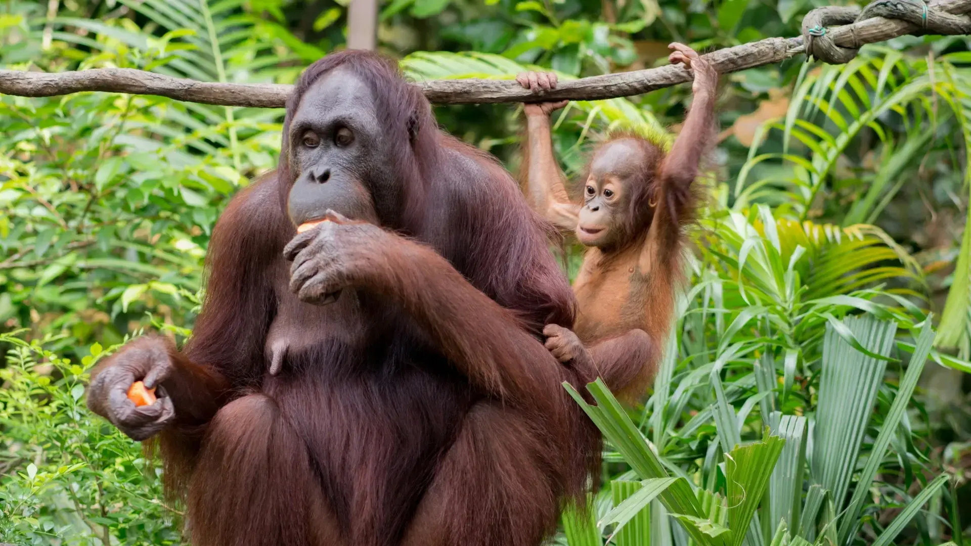 Zdjęcie z programu wyjazdu