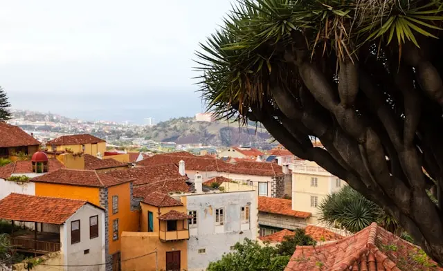 Zdjęcie z programu wyjazdu