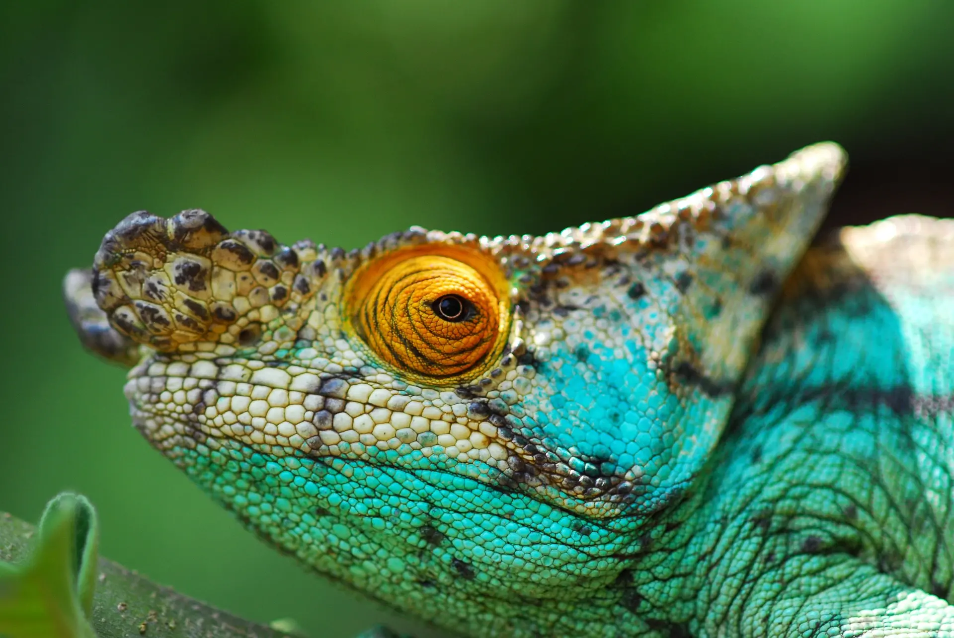 Zdjęcie z programu wyjazdu