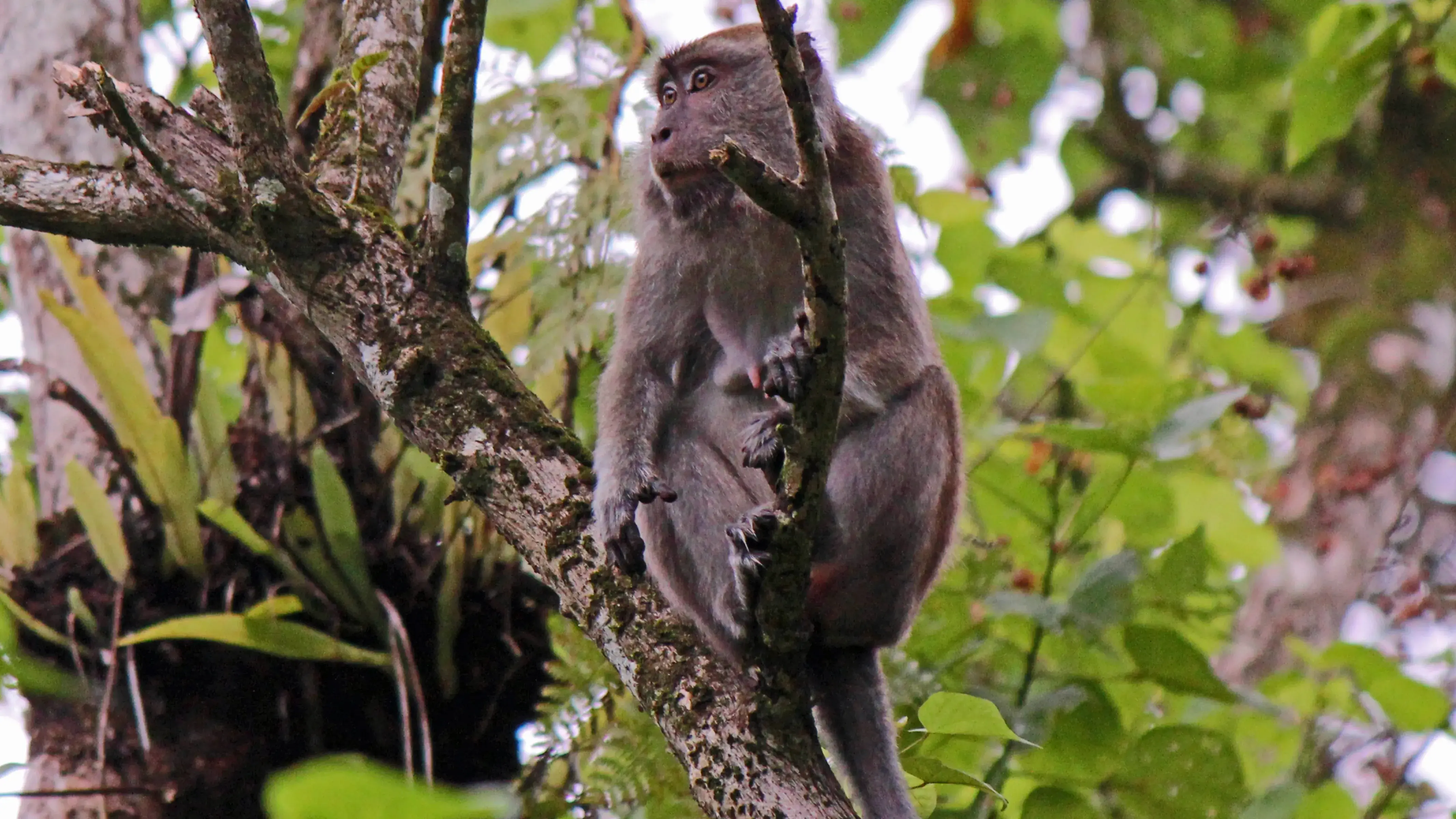 Zdjęcie z programu wyjazdu