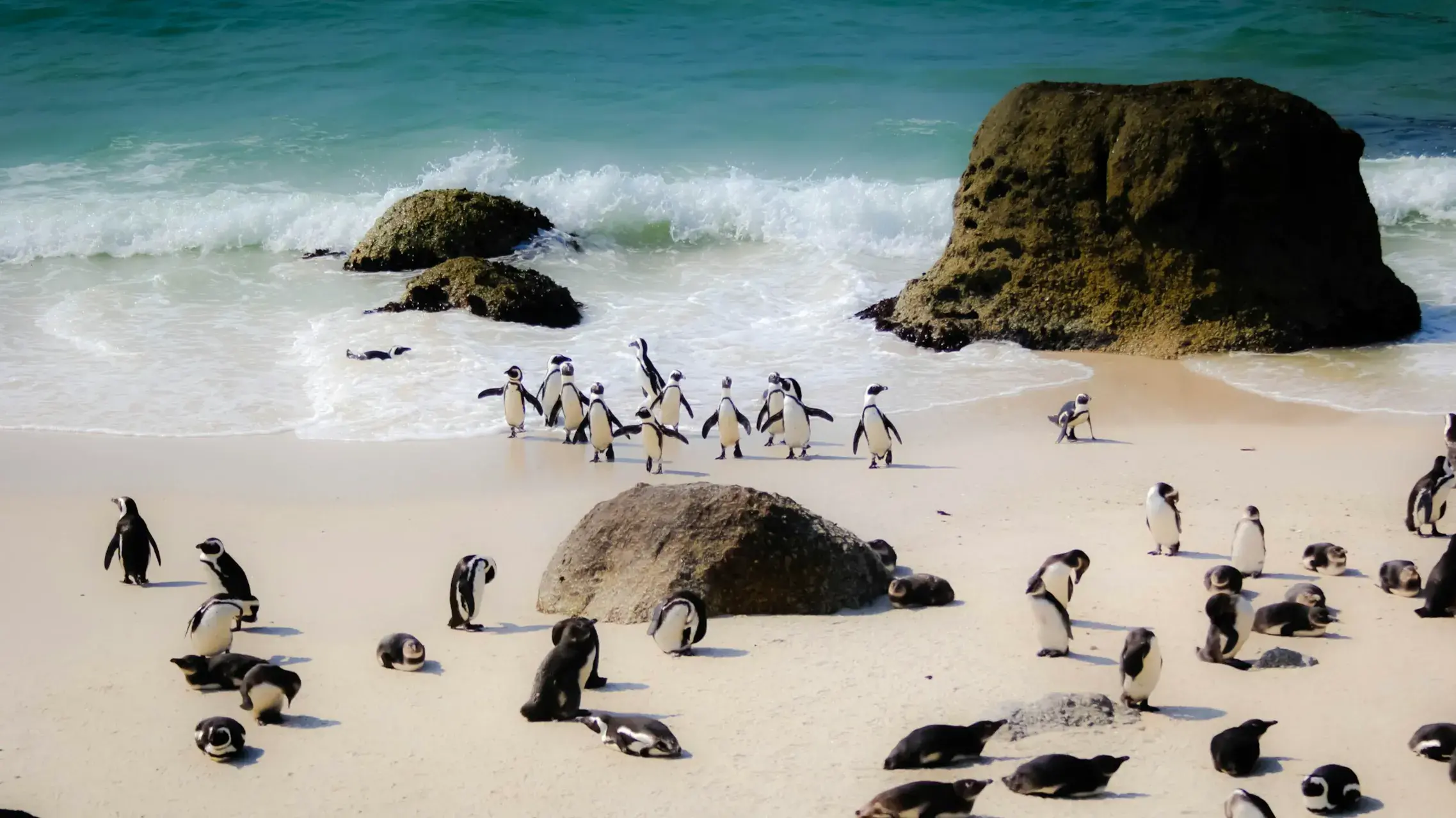 Zdjęcie z programu wyjazdu