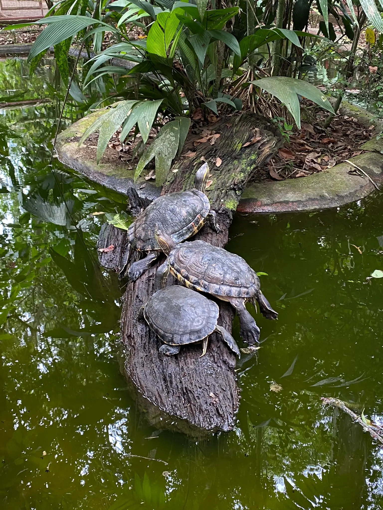 Zdjęcie z programu wyjazdu