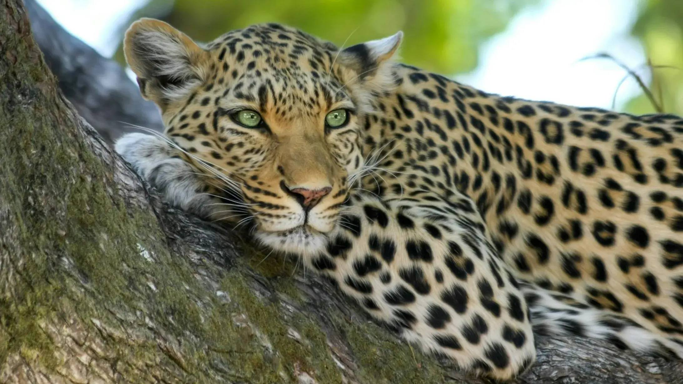 Zdjęcie z programu wyjazdu