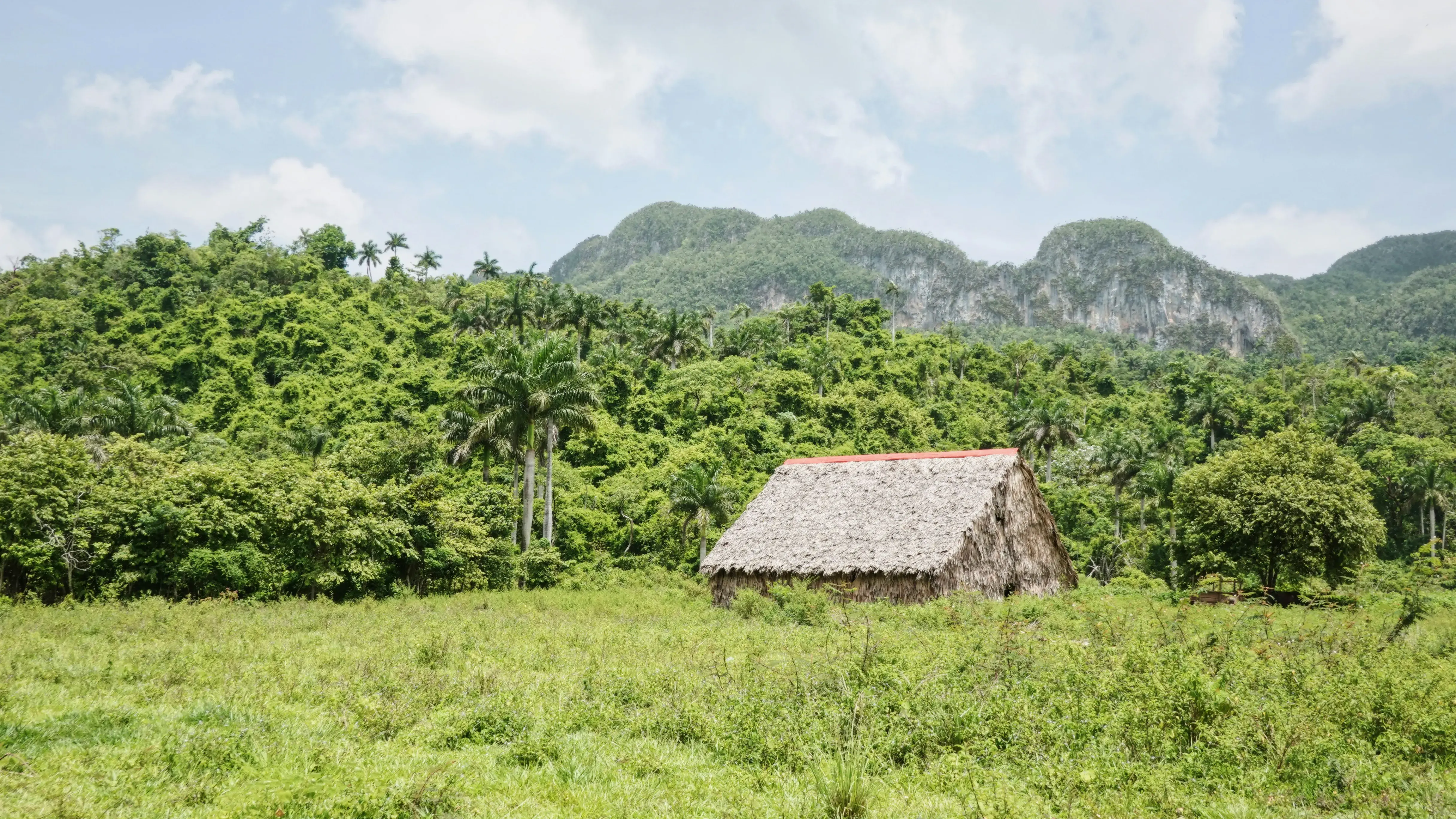 Zdjęcie z programu wyjazdu