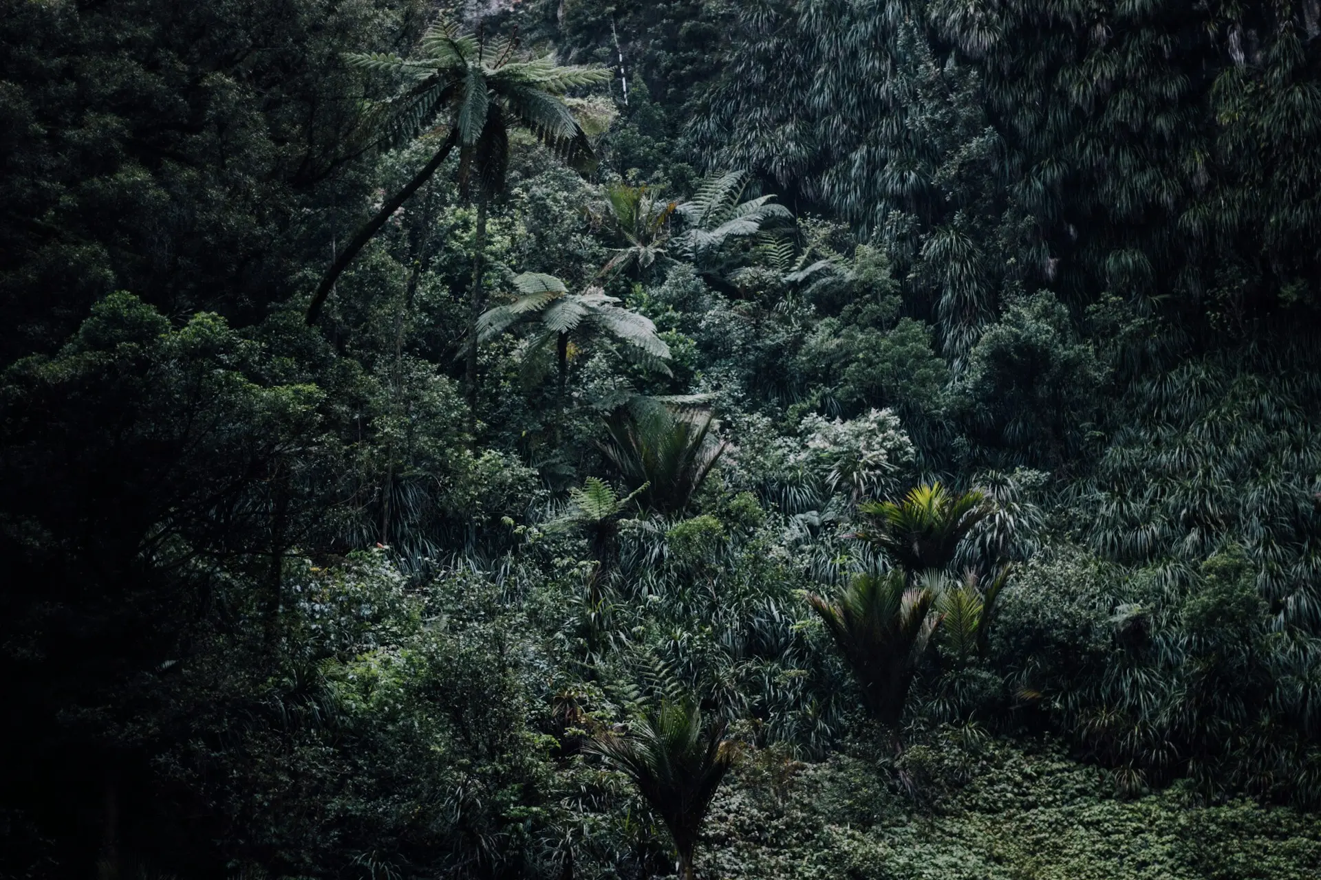 Zdjęcie z programu wyjazdu