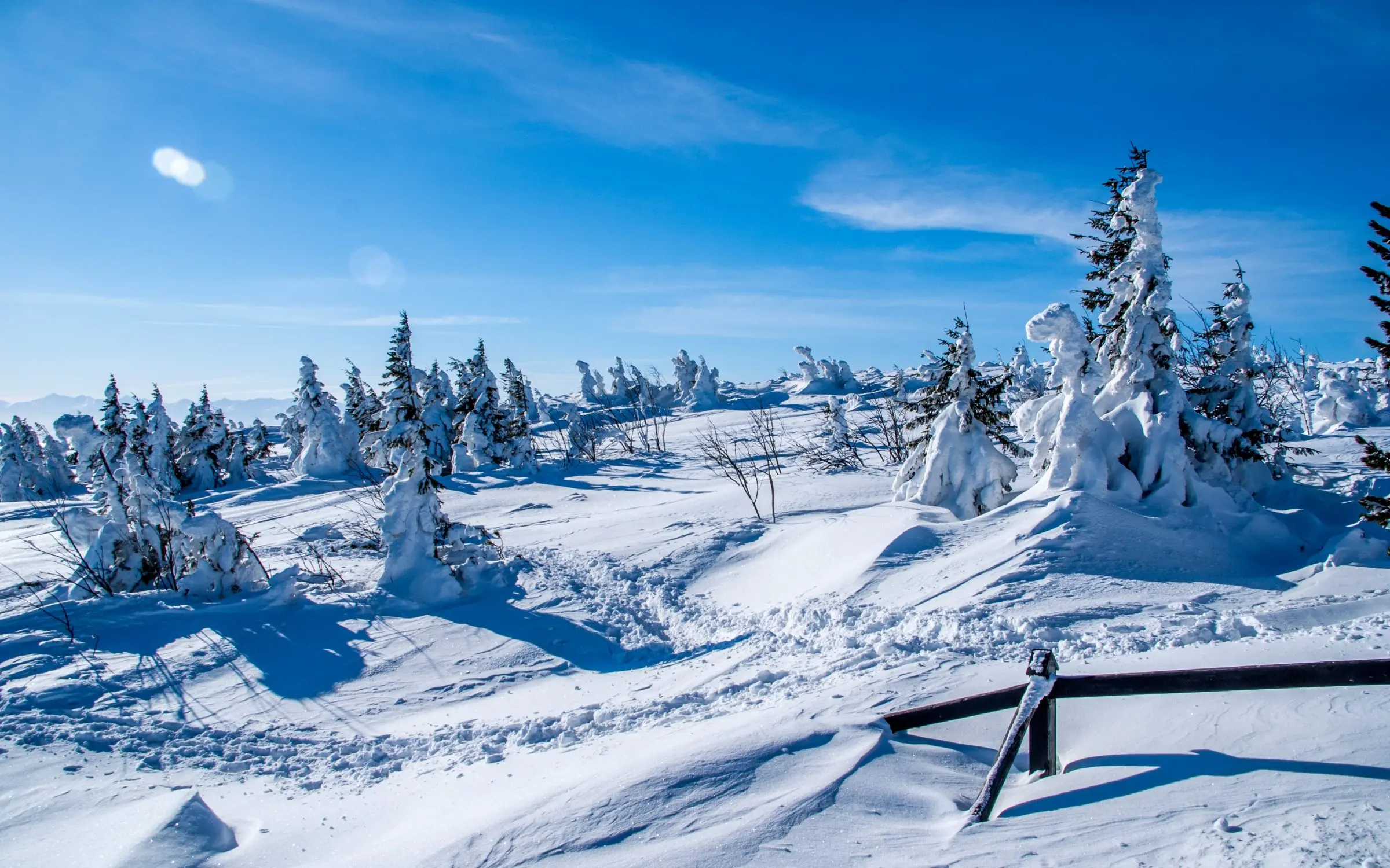 Zdjęcie z programu wyjazdu