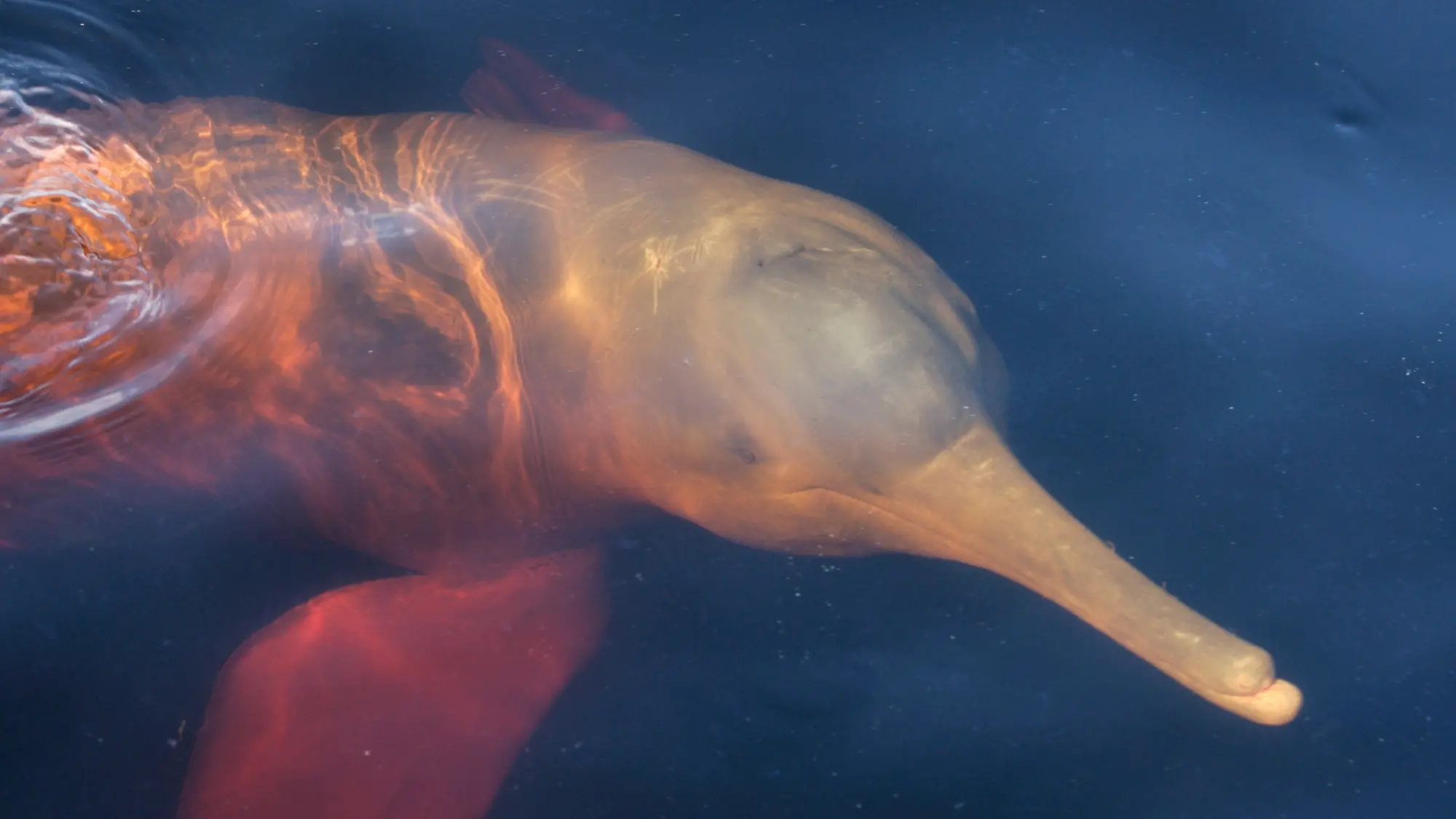 Zdjęcie z programu wyjazdu