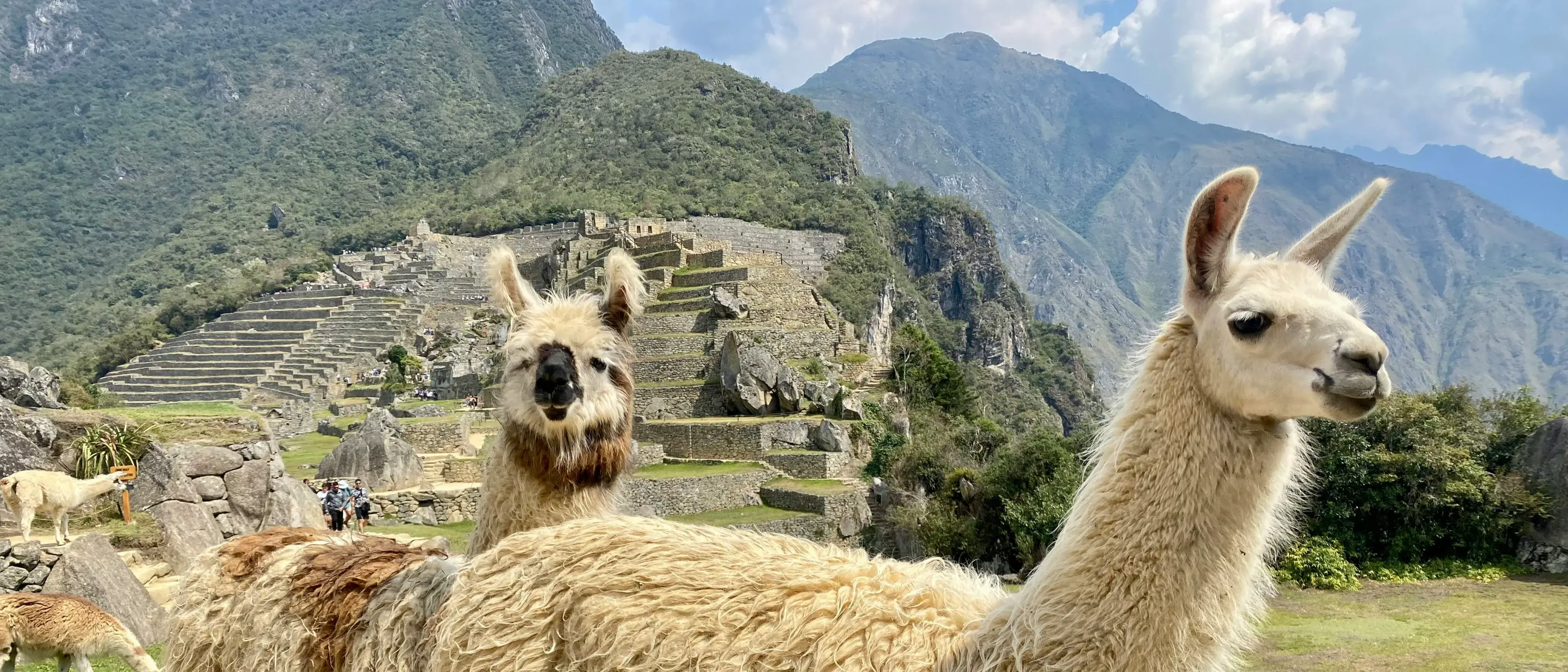 Zdjęcie z programu wyjazdu