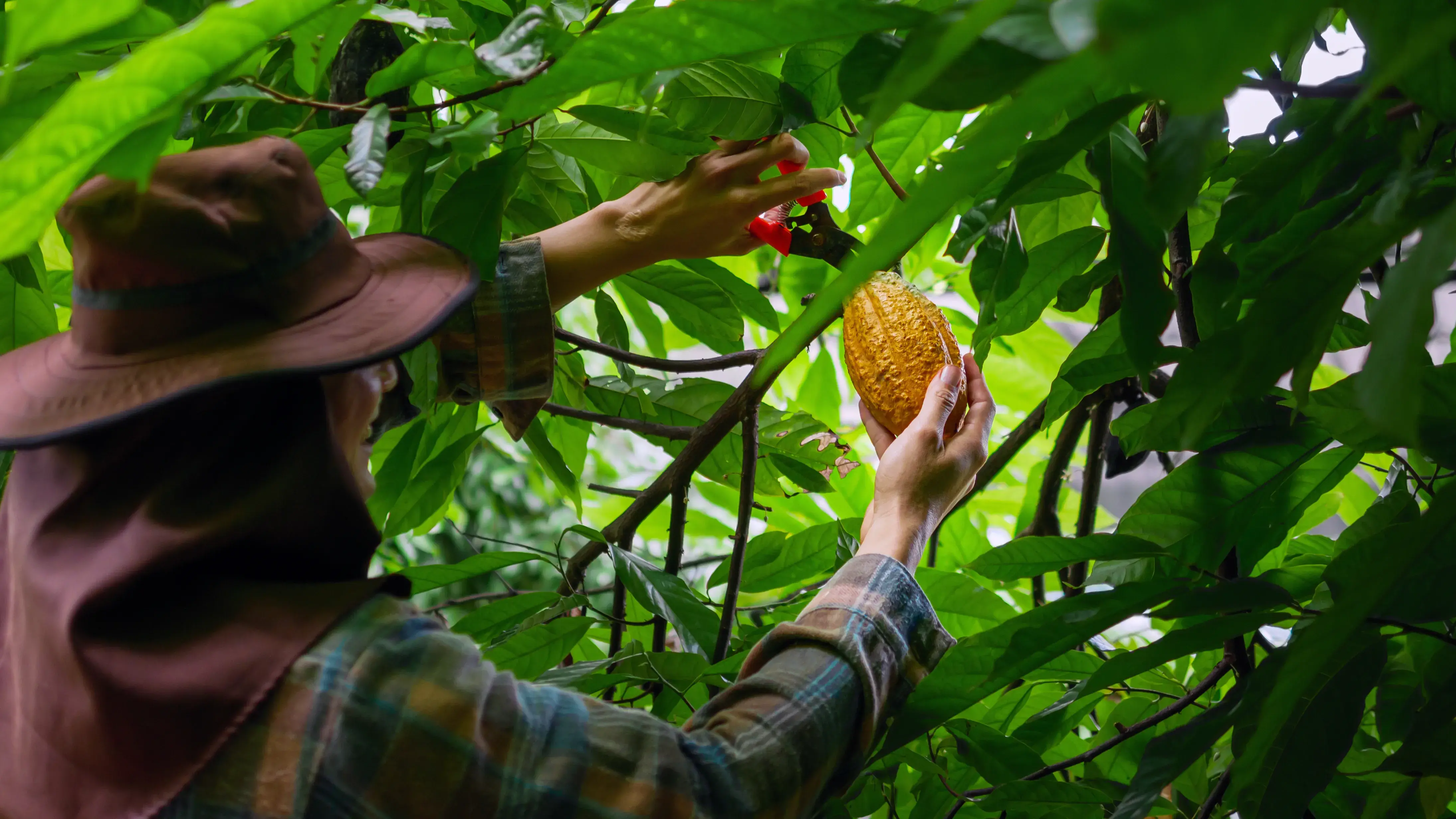 Zdjęcie z programu wyjazdu