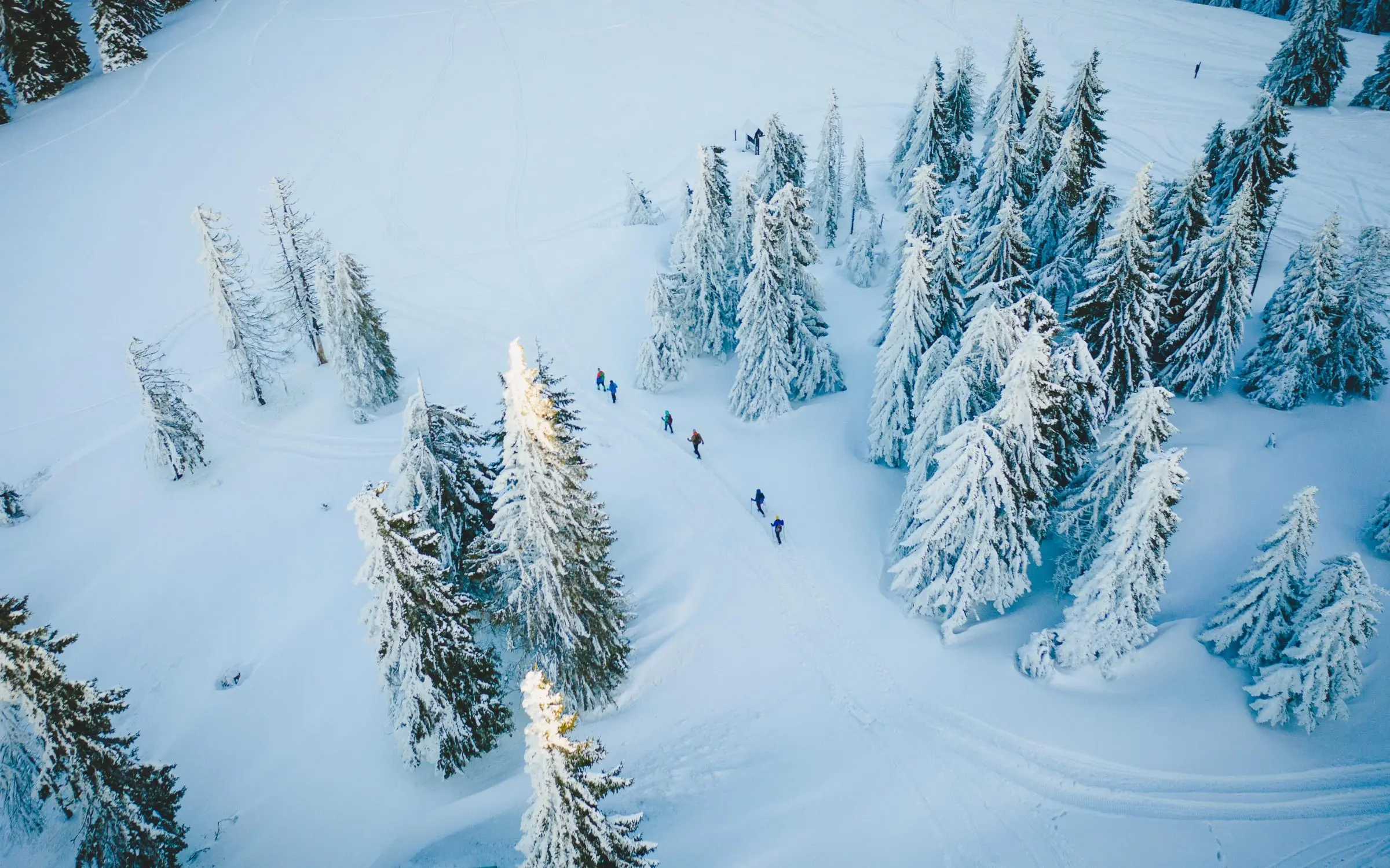 Zdjęcie z programu wyjazdu