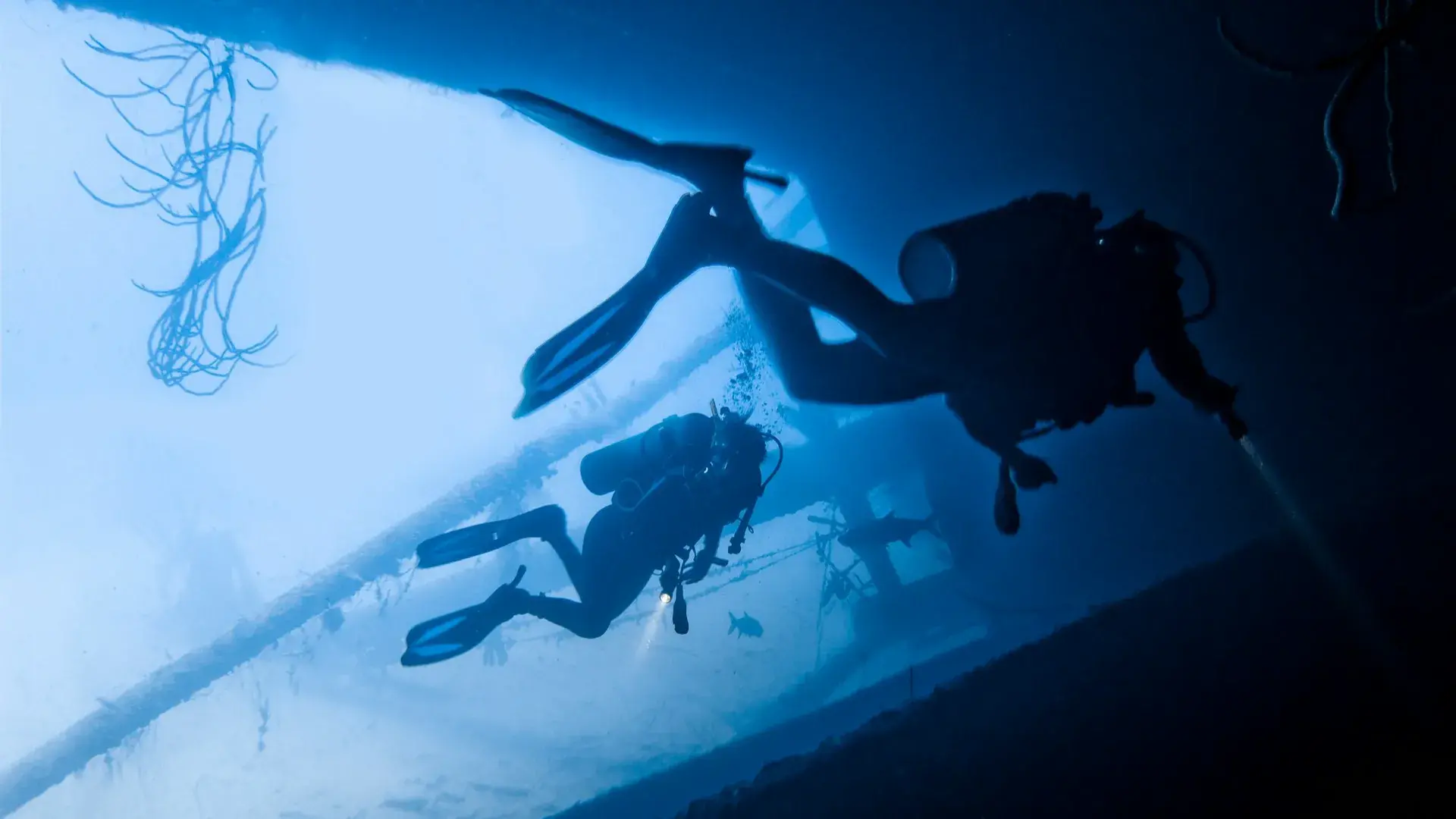 Zdjęcie z programu wyjazdu