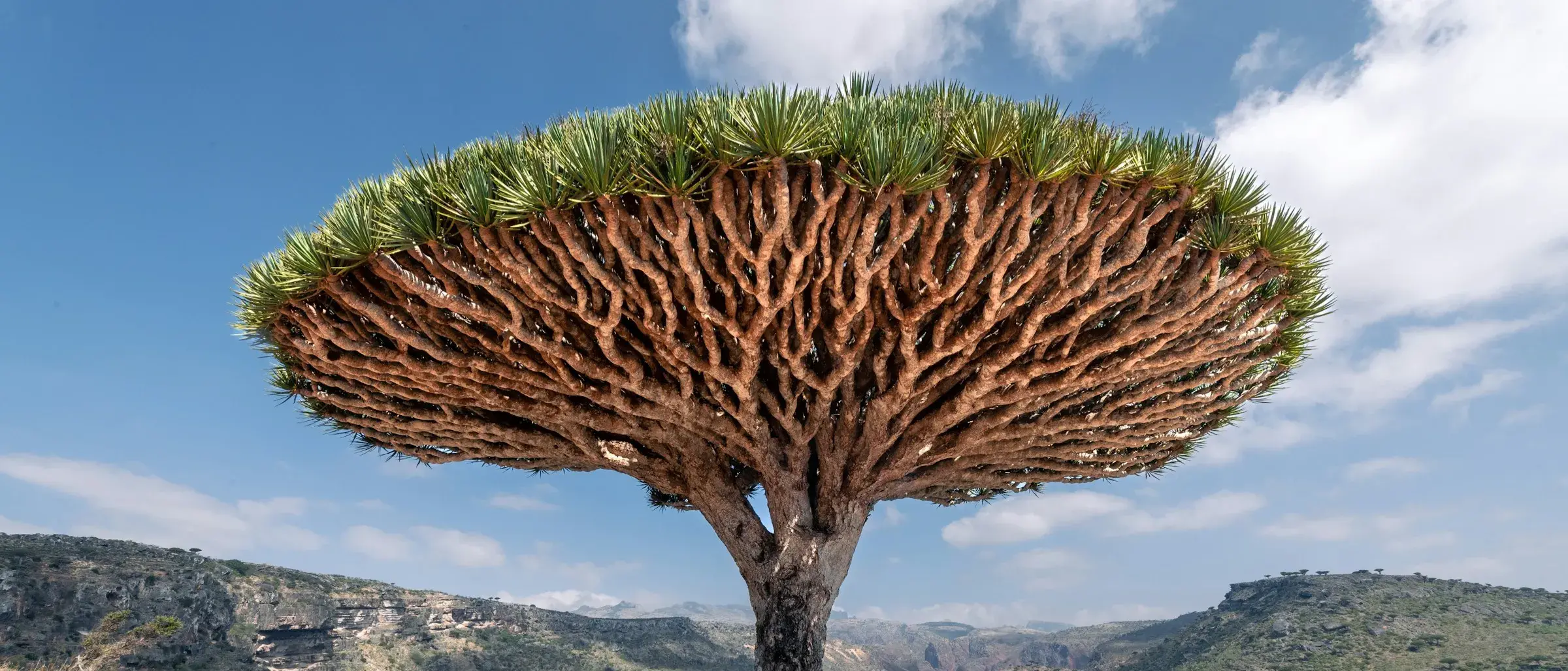 Zdjęcie z programu wyjazdu