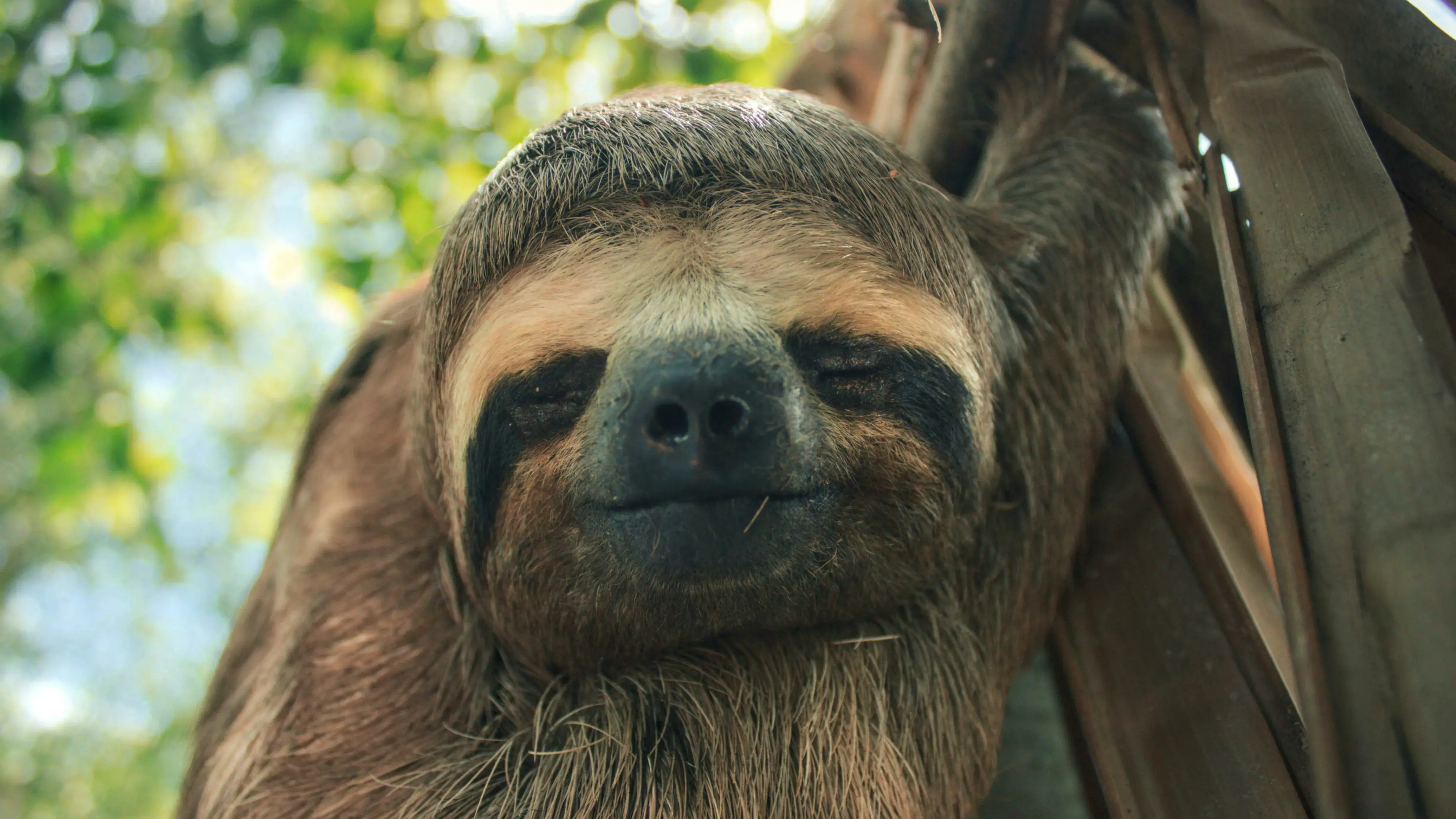 Zdjęcie z programu wyjazdu