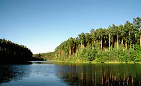 Zdjęcie z programu wyjazdu