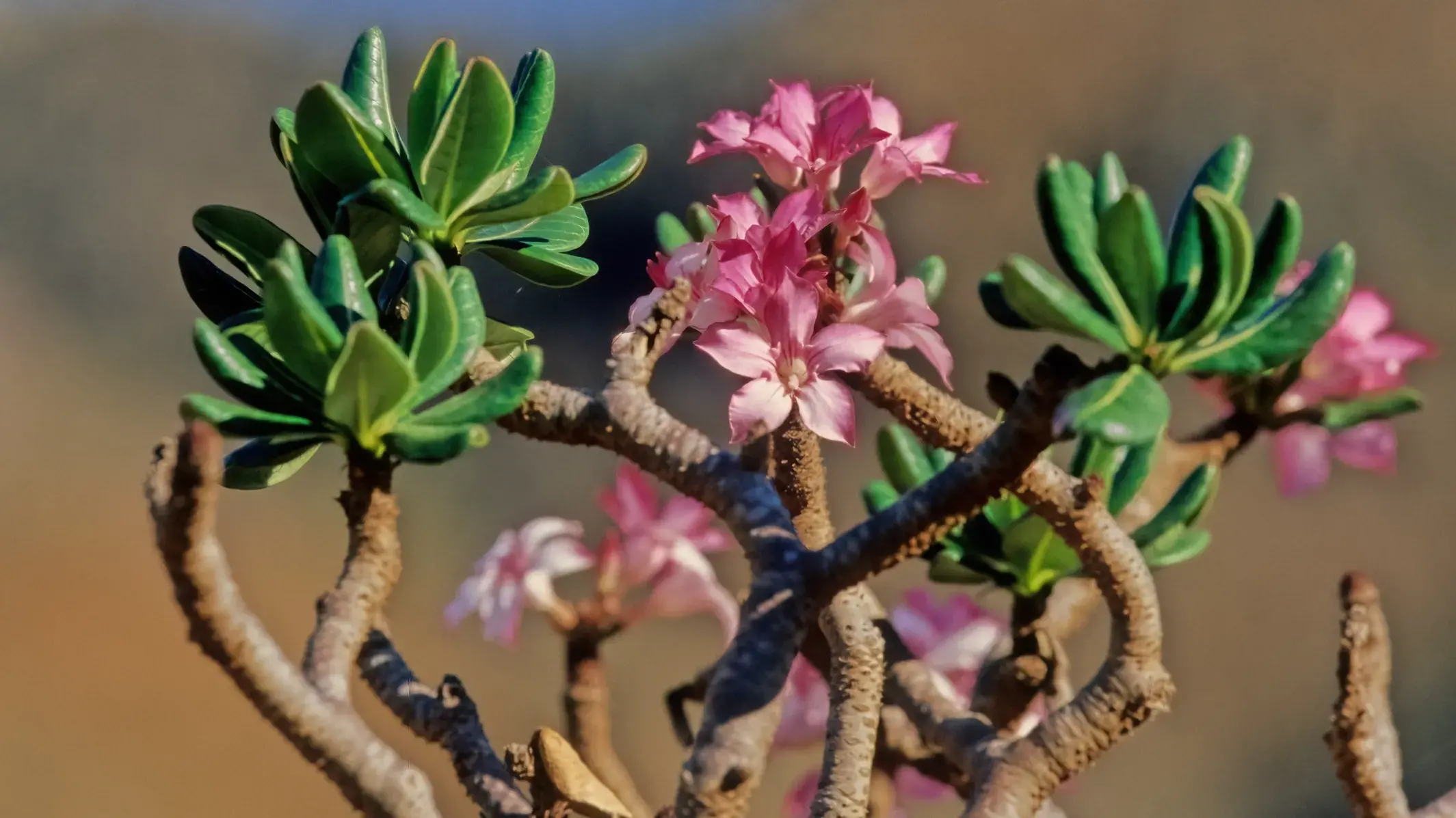 Zdjęcie z programu wyjazdu