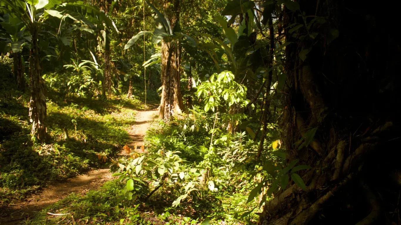 Zdjęcie z programu wyjazdu