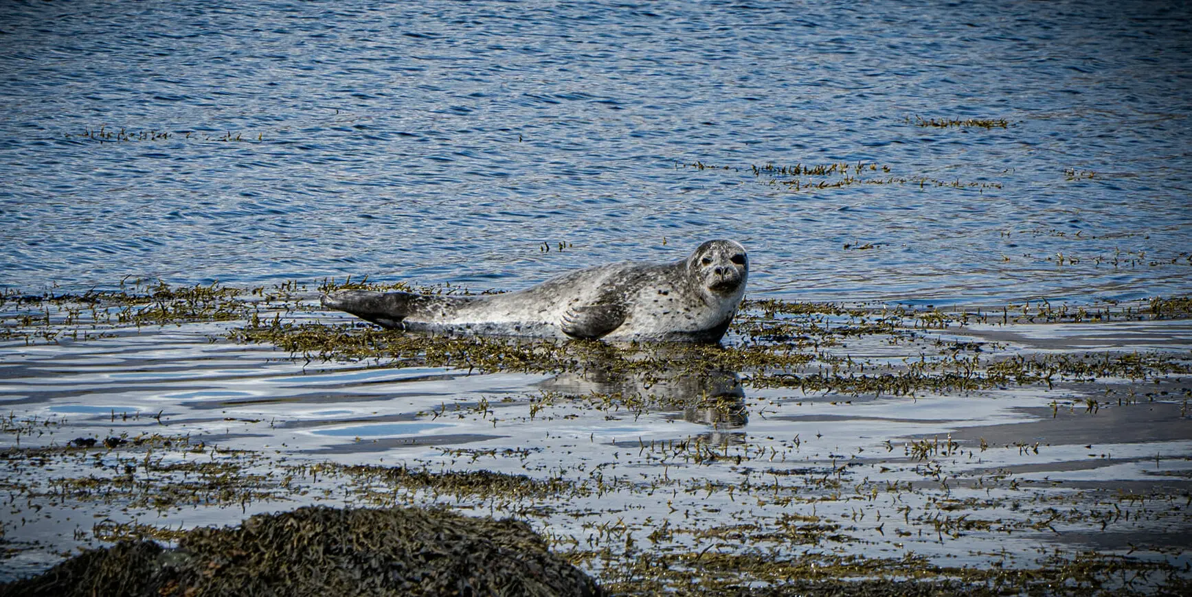 Zdjęcie z programu wyjazdu