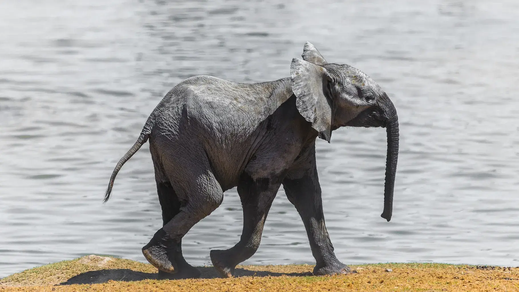 Zdjęcie z programu wyjazdu