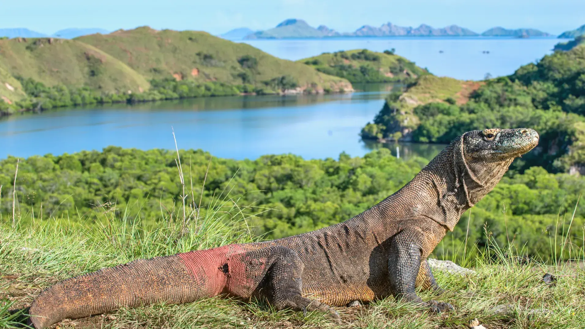 Zdjęcie z programu wyjazdu