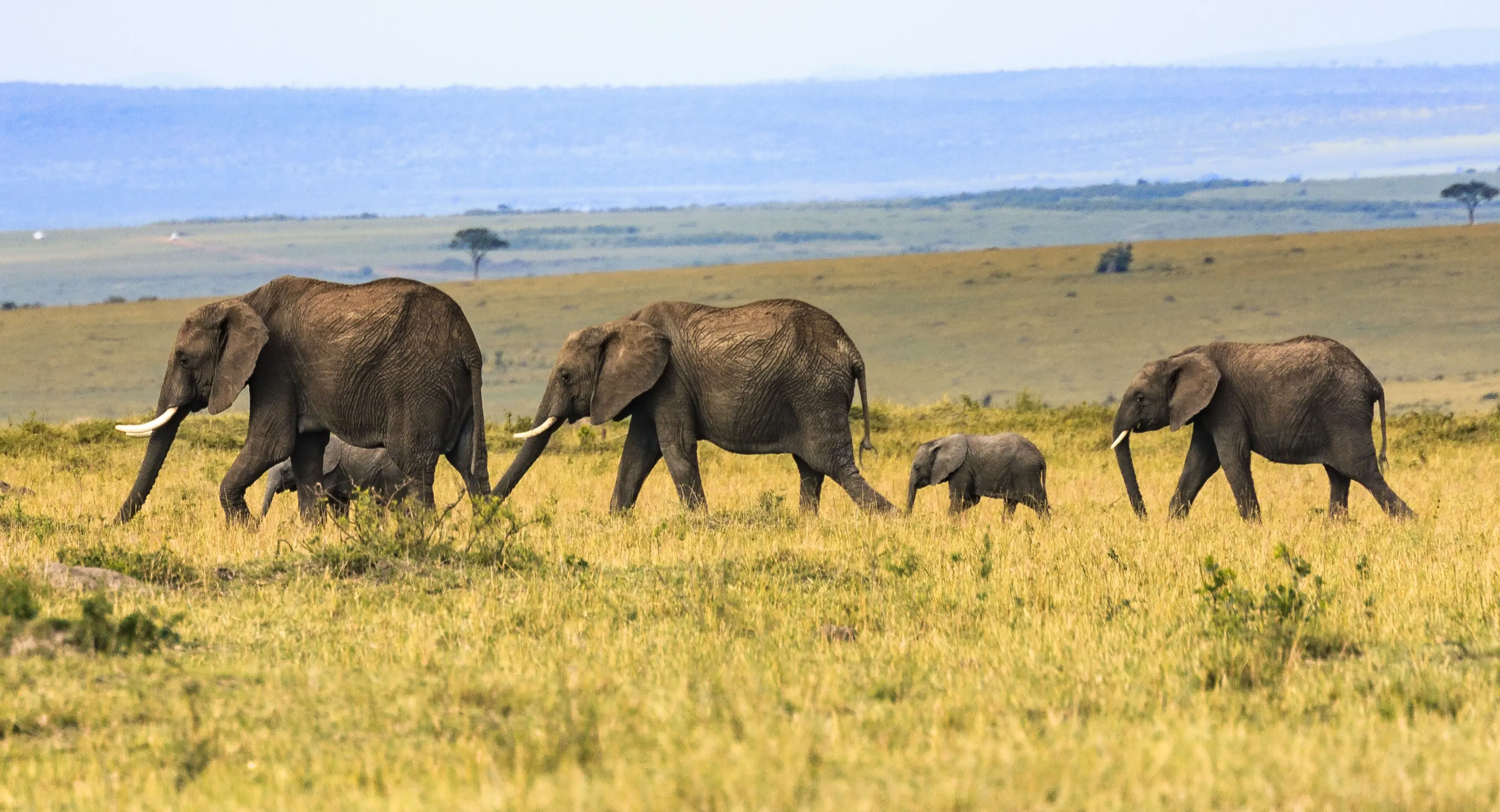 Zdjęcie z programu wyjazdu