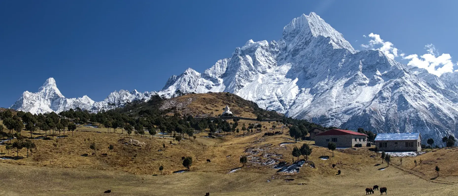 Zdjęcie z programu wyjazdu