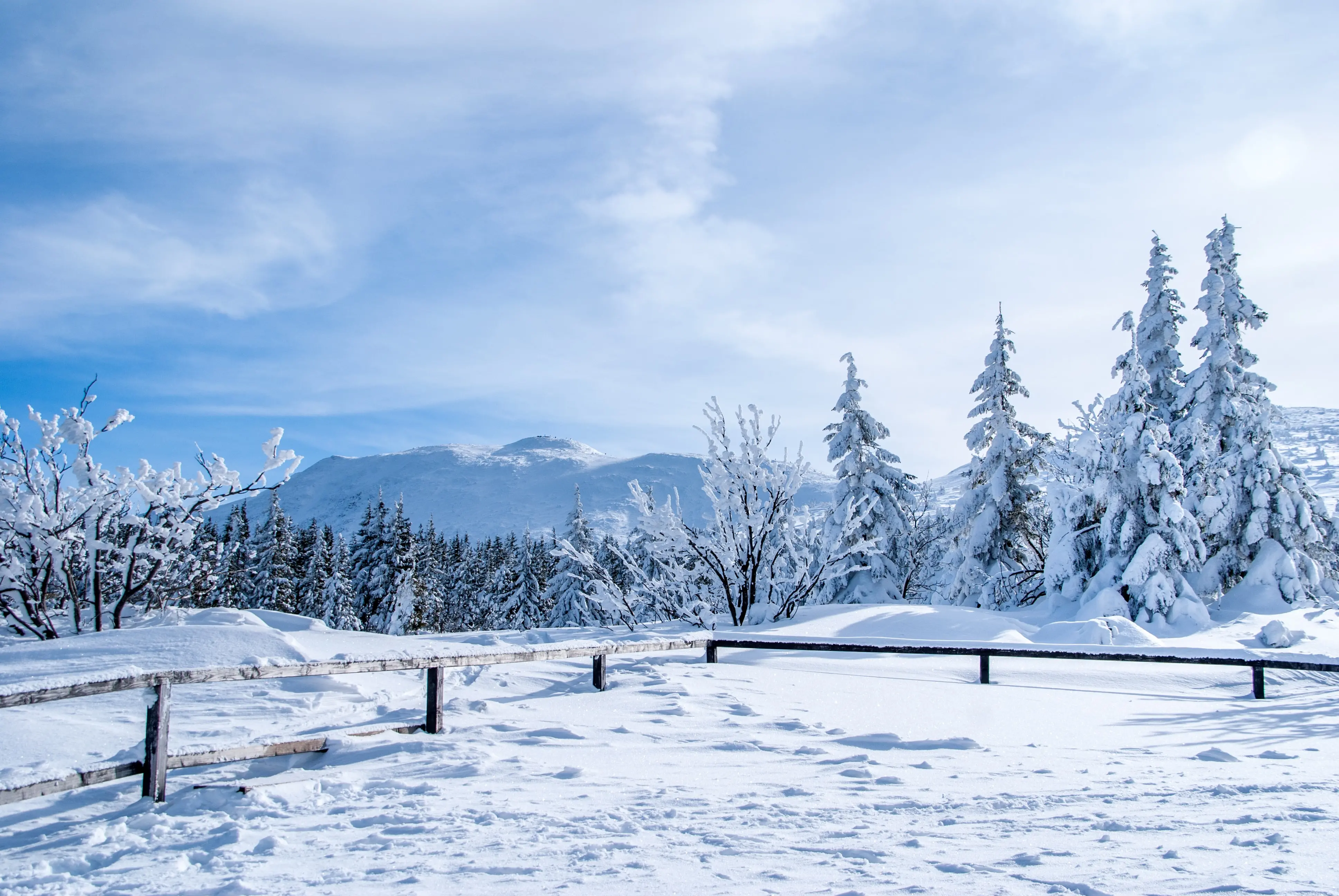 Zdjęcie z programu wyjazdu