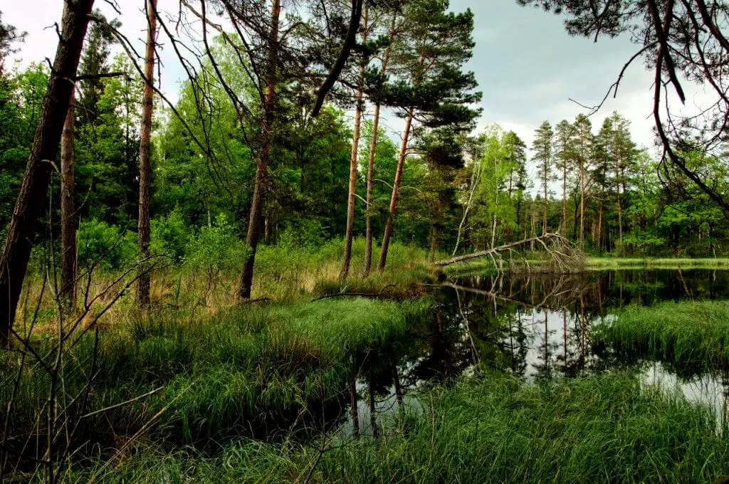 Zdjęcie z programu wyjazdu