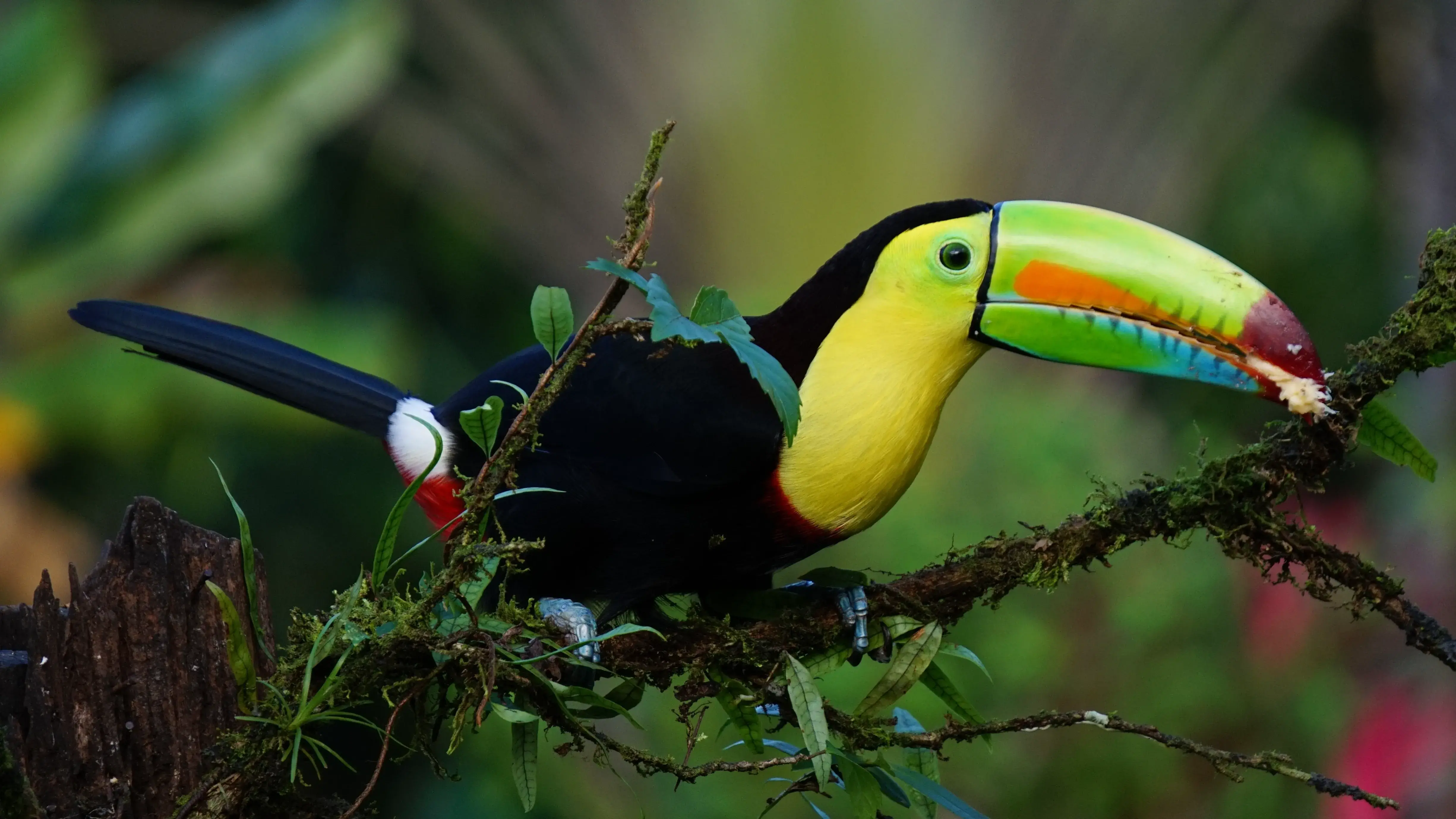 Zdjęcie z programu wyjazdu
