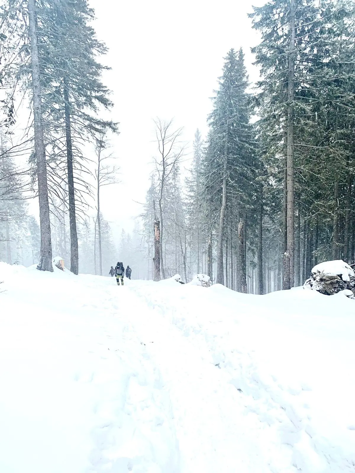 Zdjęcie z programu wyjazdu