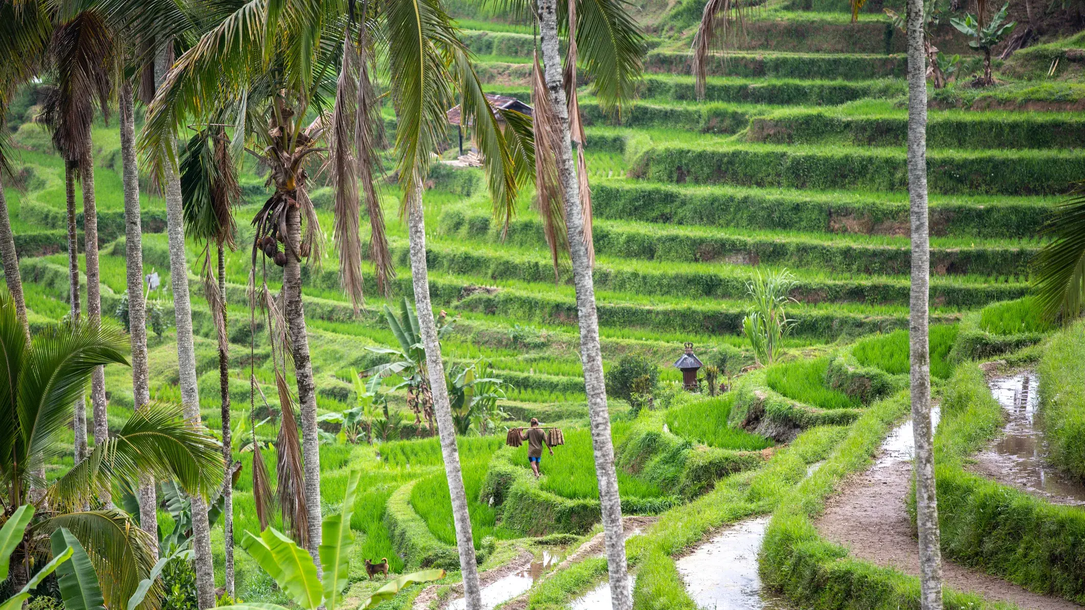 Zdjęcie z programu wyjazdu
