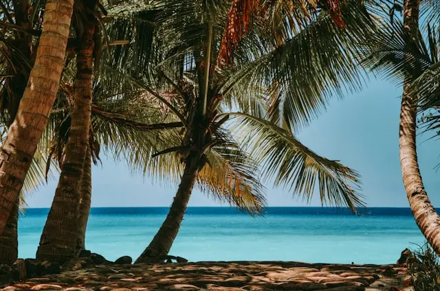 Zdjęcie z programu wyjazdu