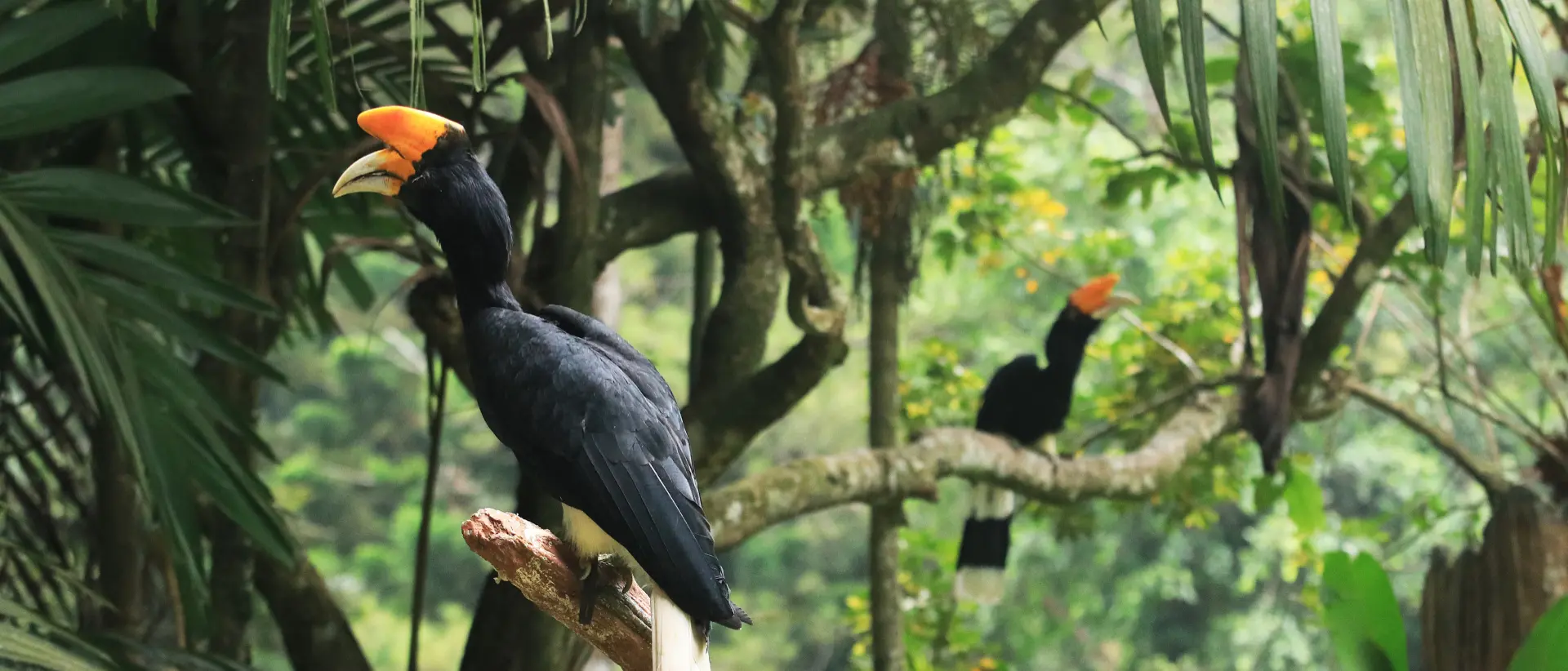 Zdjęcie z programu wyjazdu
